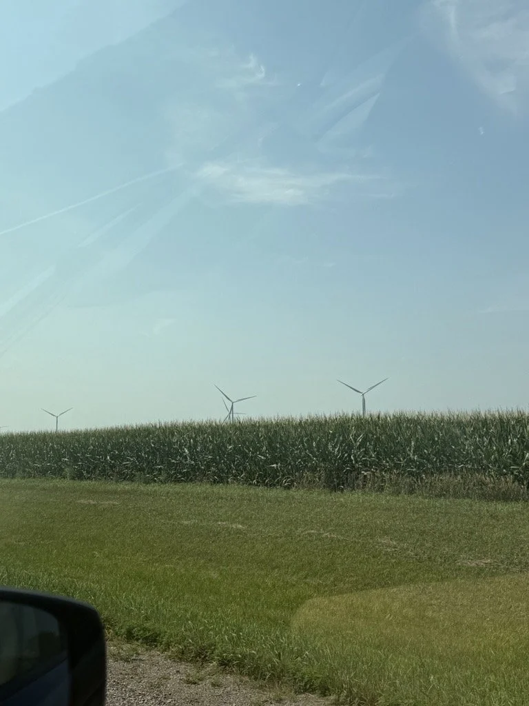 Image (49).jpeg