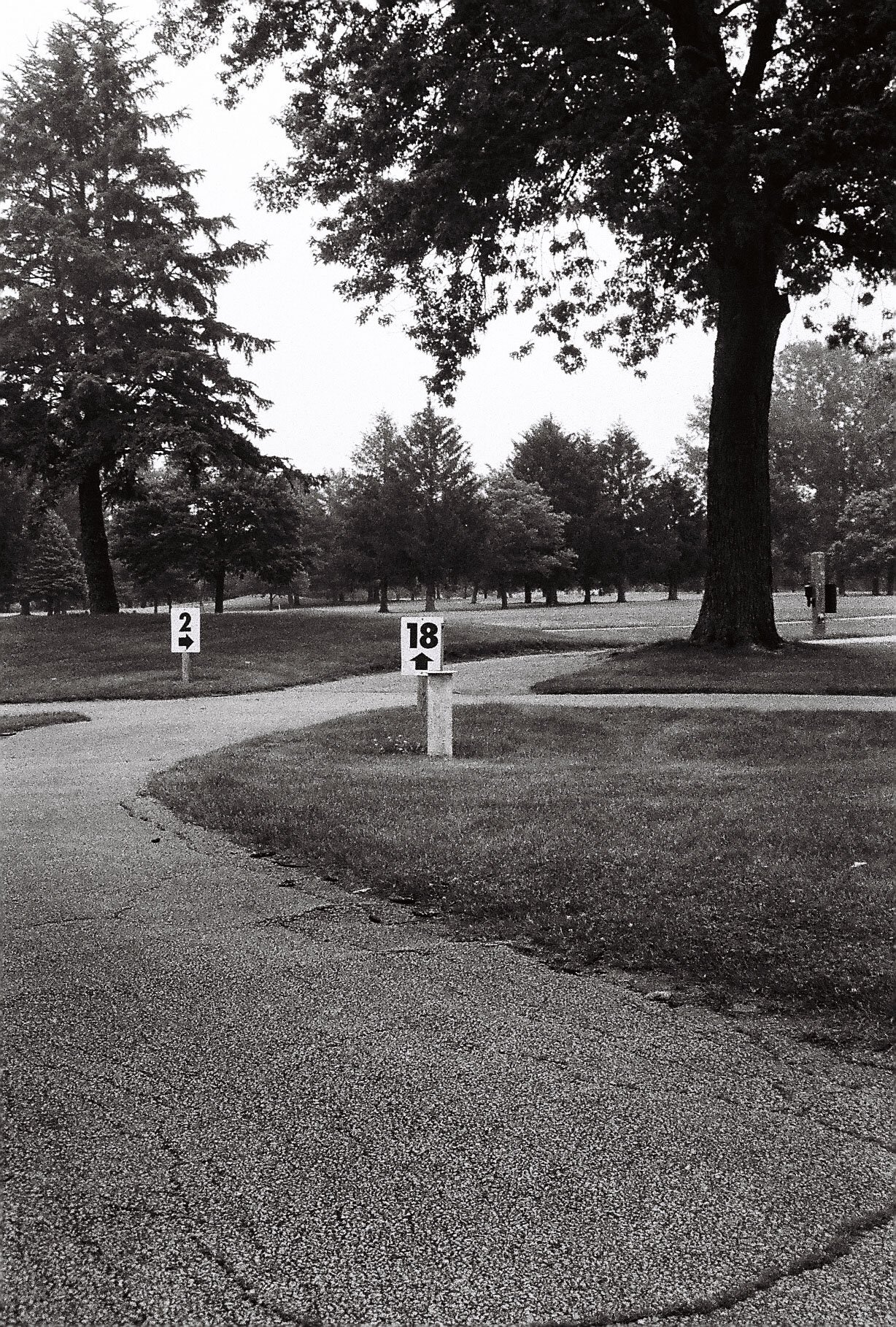 Directions Print - 35mm