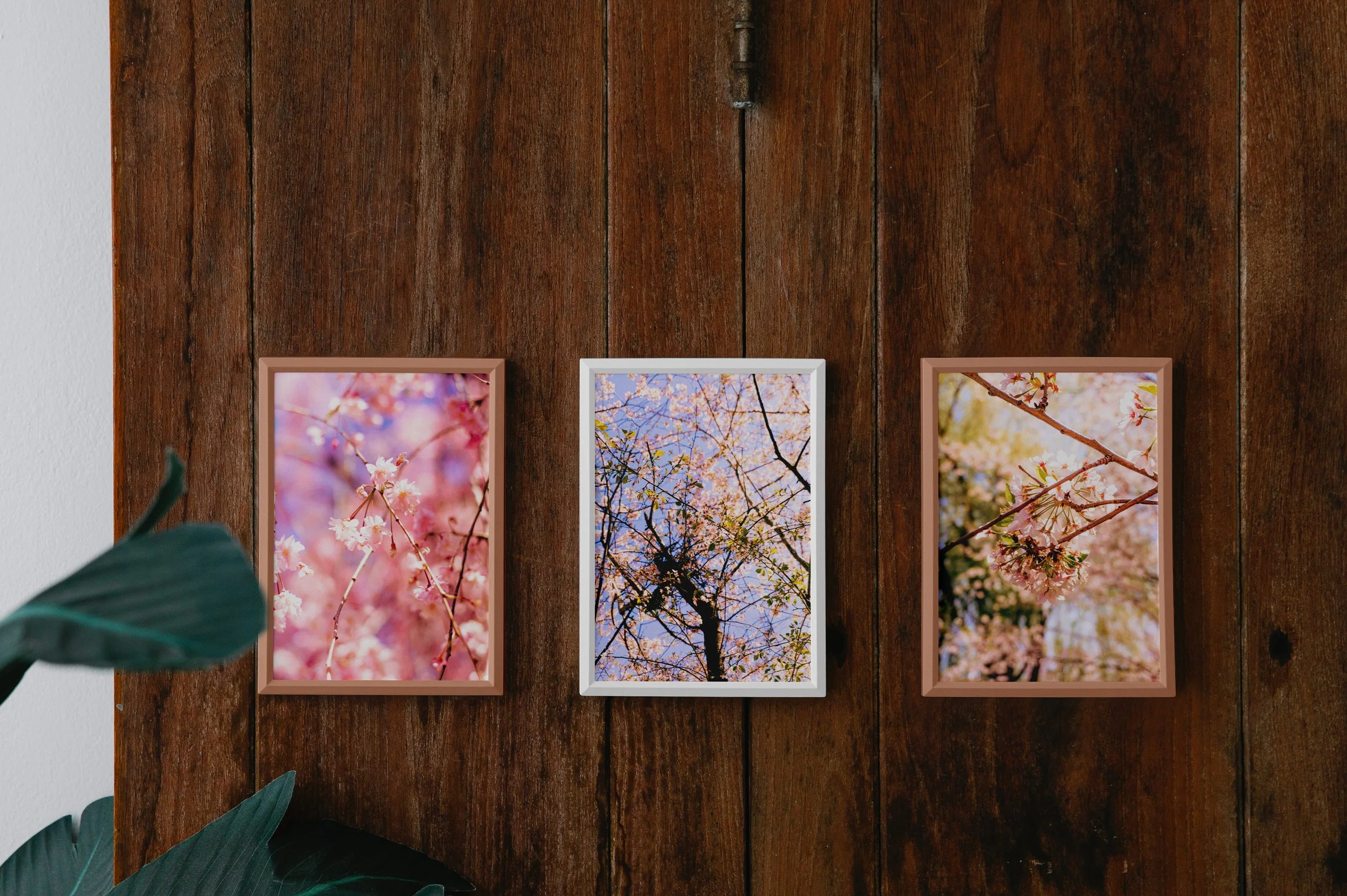 2Three-Posters-on-Wood-Wall-Mockup.jpg