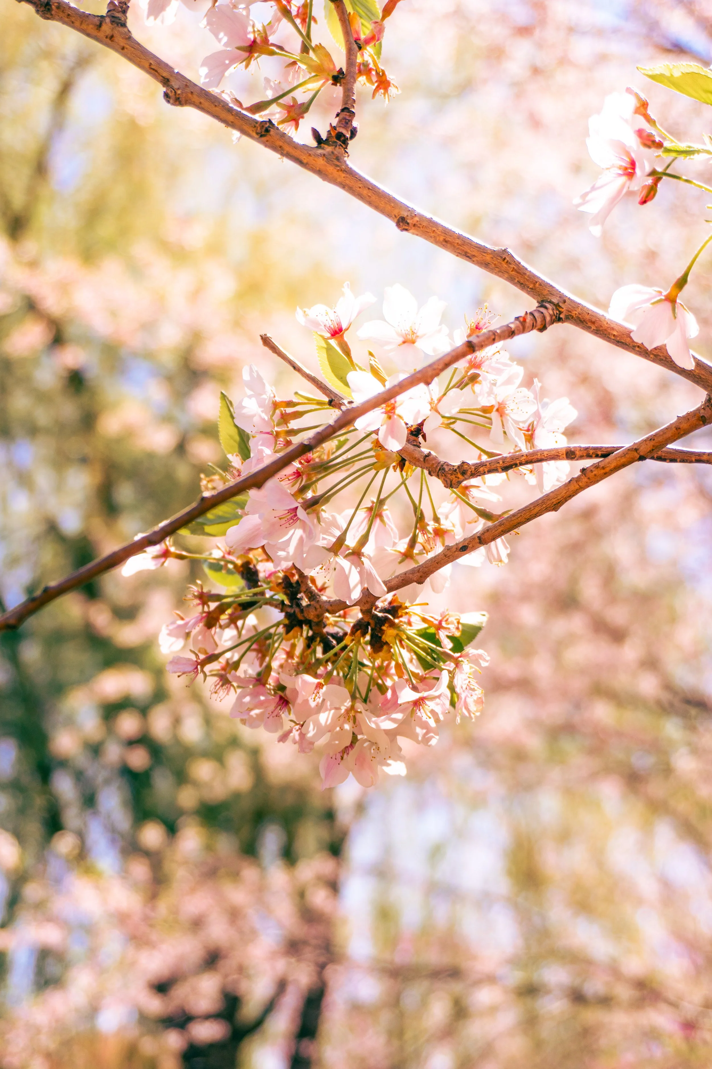 PMG07745-Edit.jpg