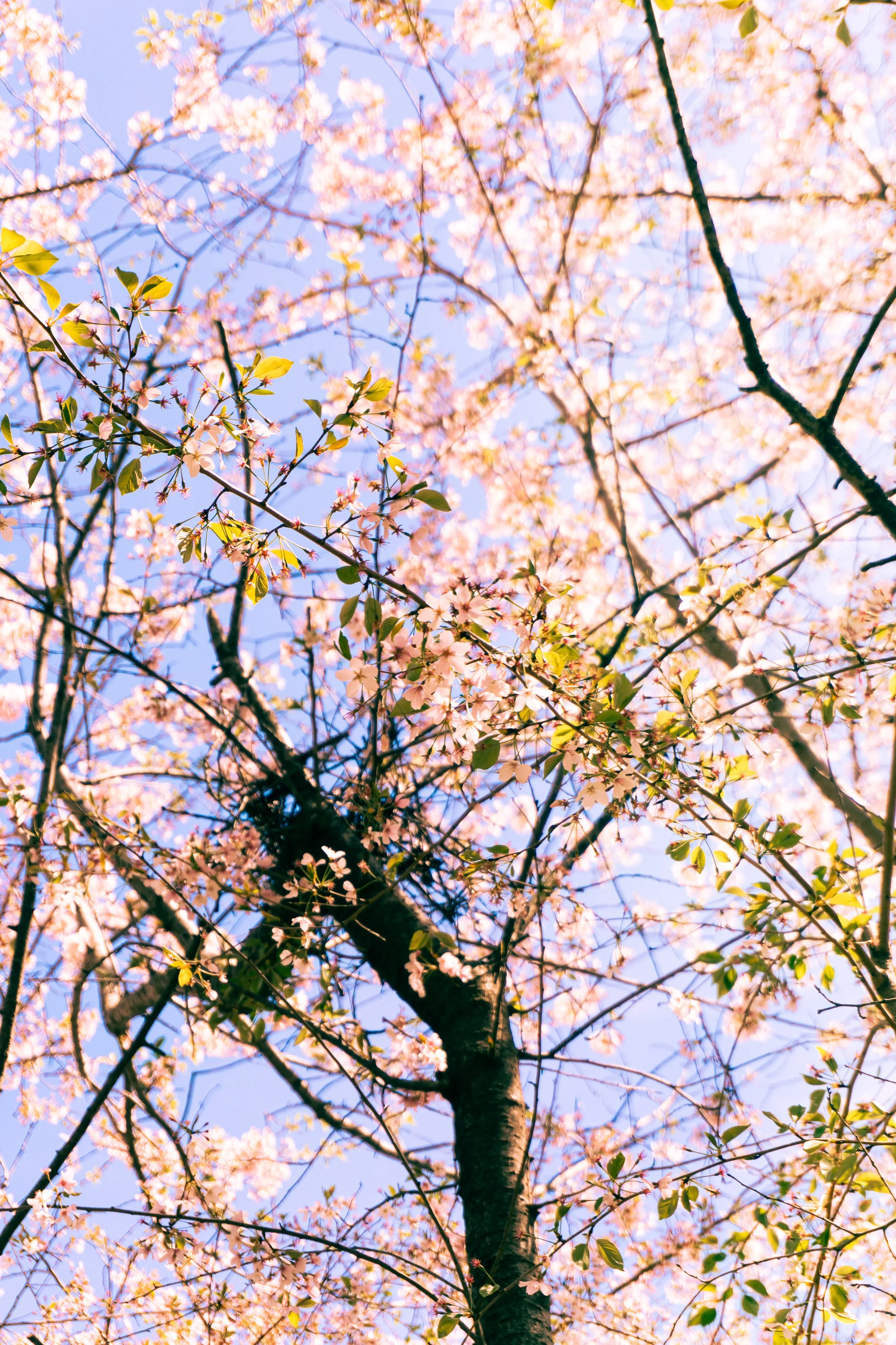 PMG07726-Edit.jpg