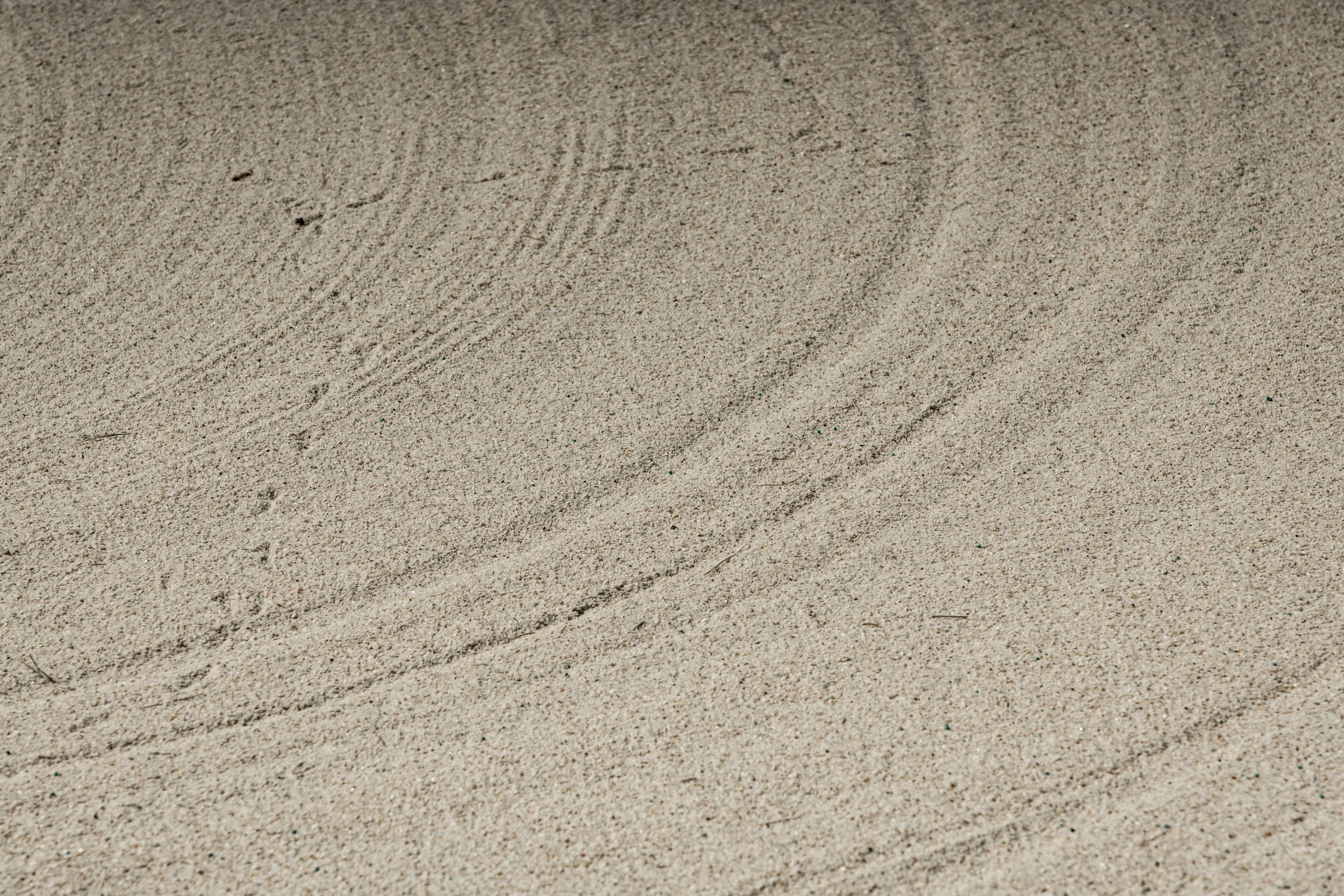 PMG09411.jpg