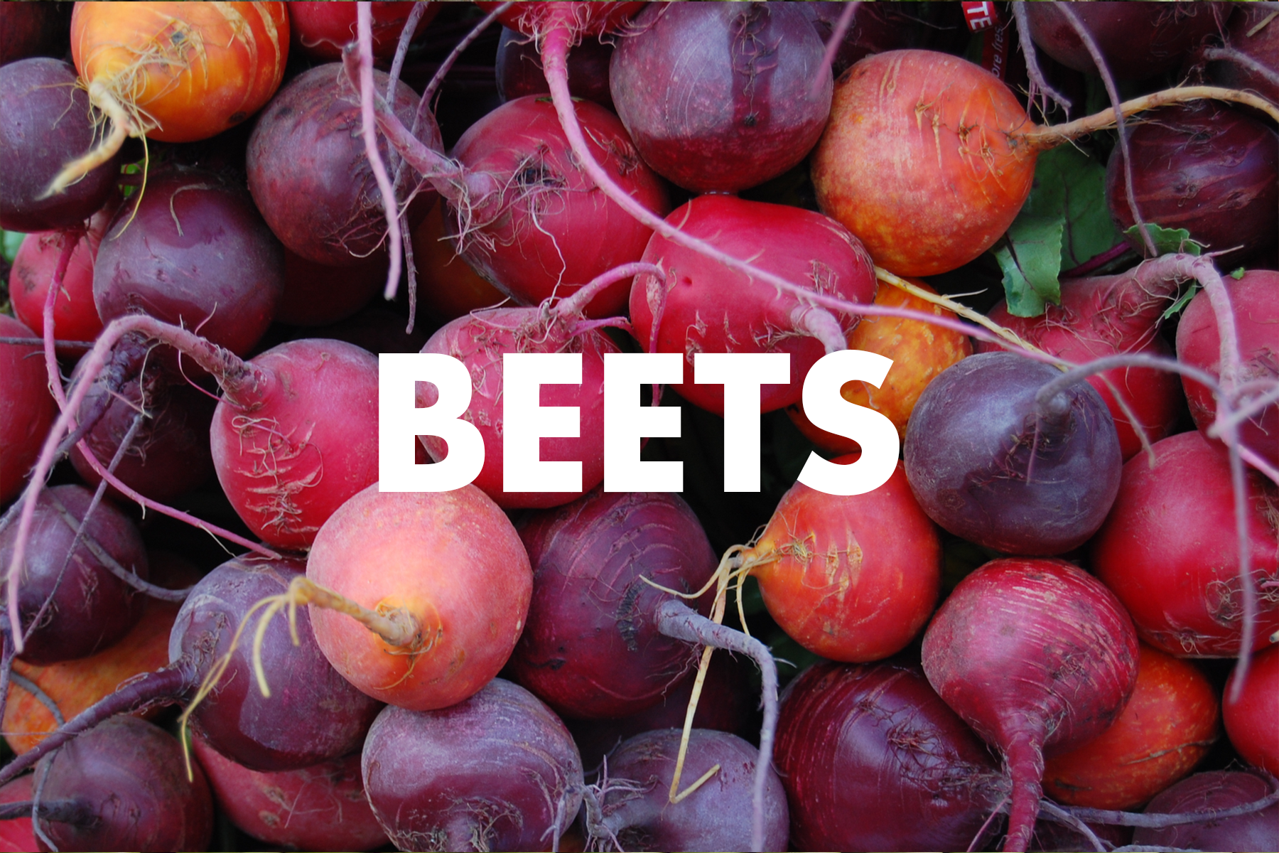 Beets.png