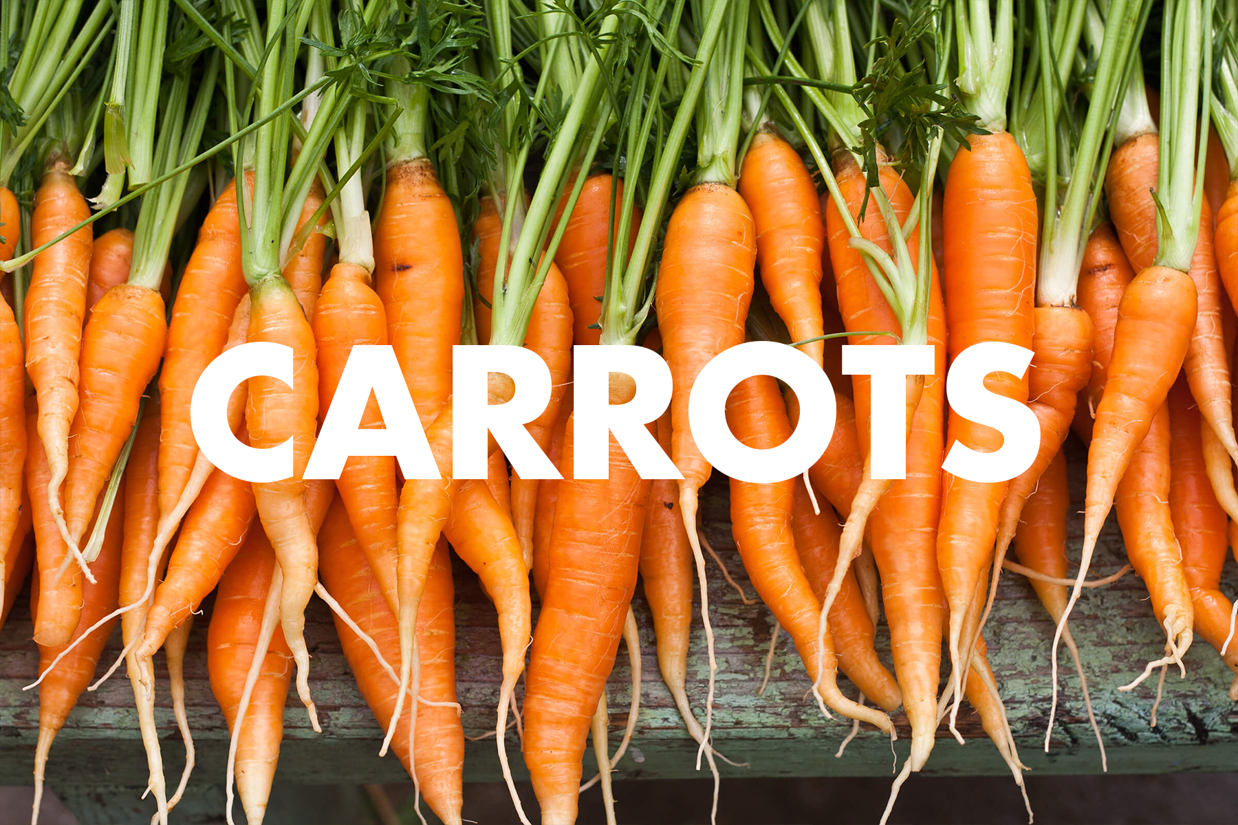 Carrots.png