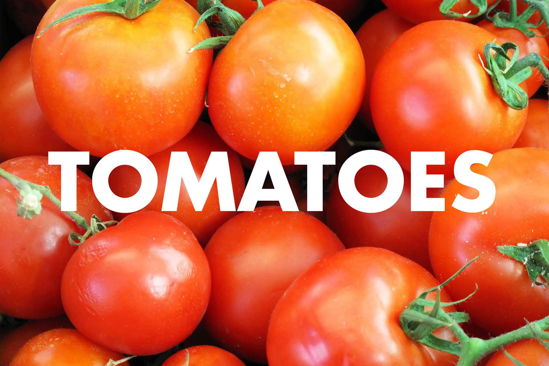 Tomatoes.png