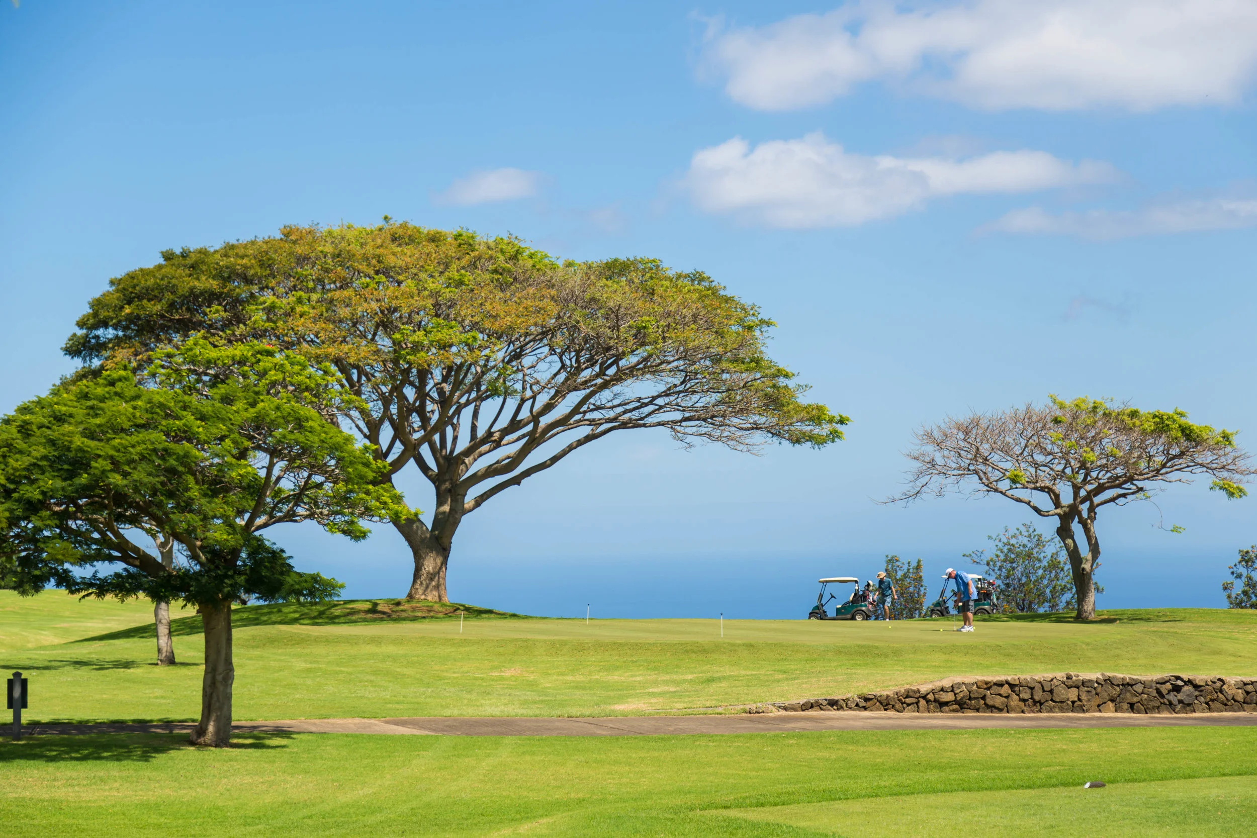 BICC 8-5-17-0080.jpg