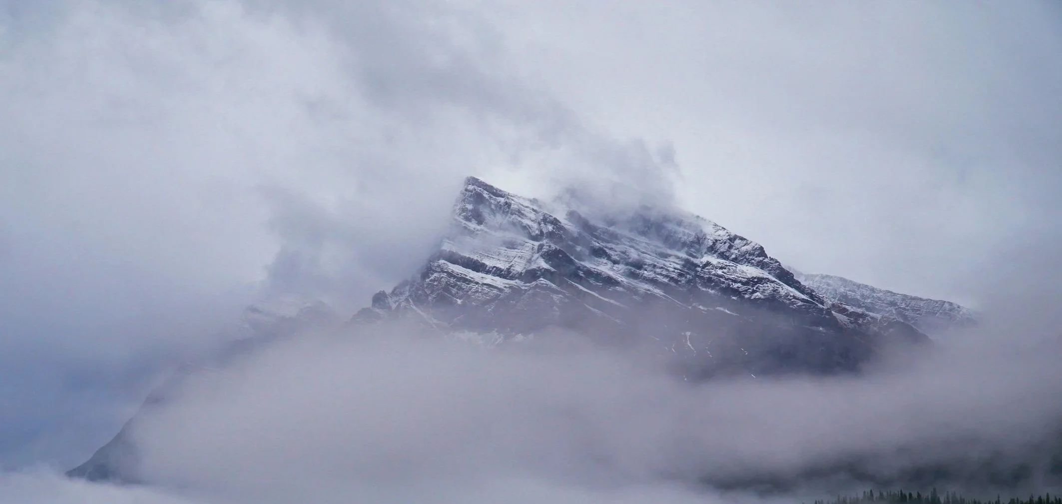 Liberty Ridge serves as exclusive strategic and financial advisor to 44° North Vodka 