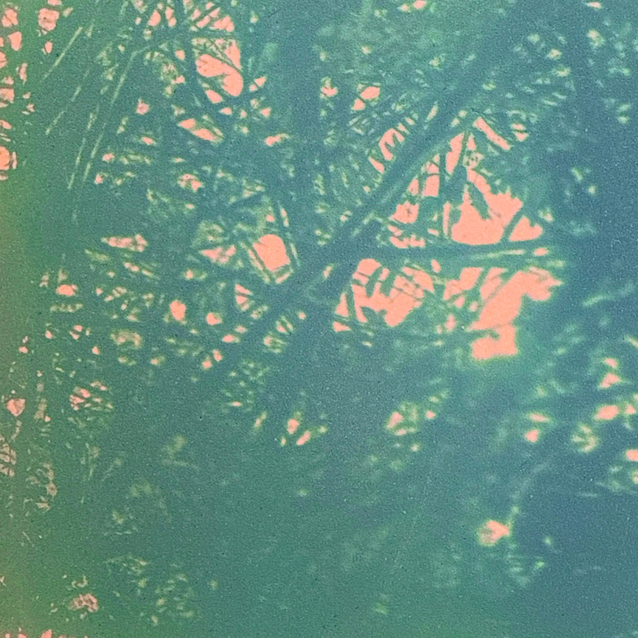 Enveloped in a promise of solitude 🌳
Detail of Cyanotype on bisque
