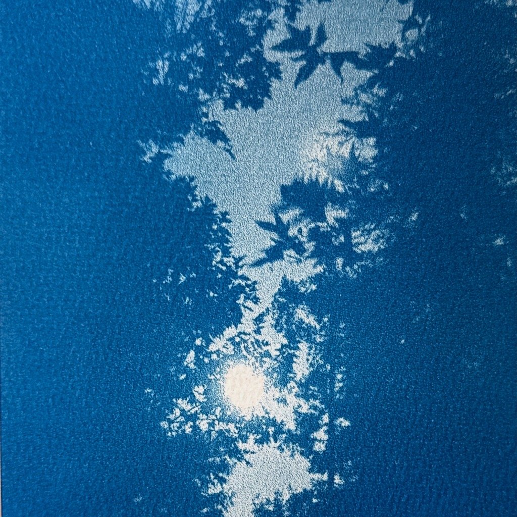Image (71).jpg