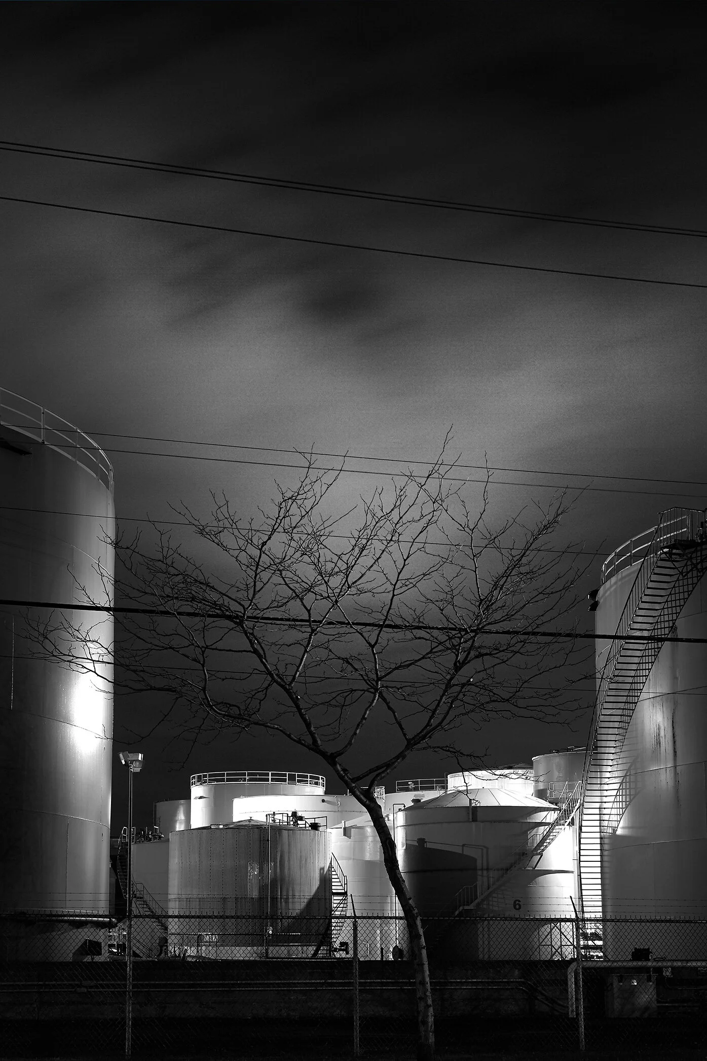 c85dbe36855951.572b89df04df9.jpg