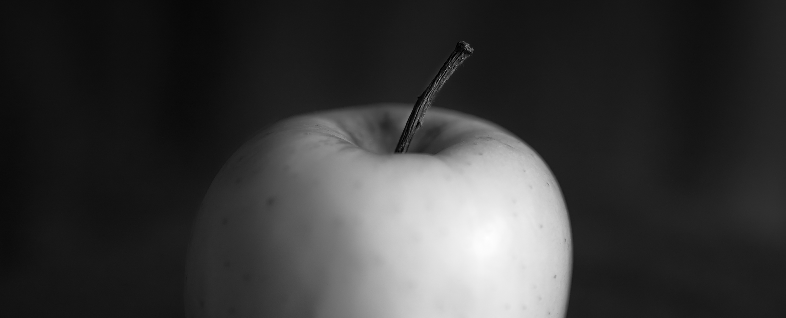 _18C7264 1.png