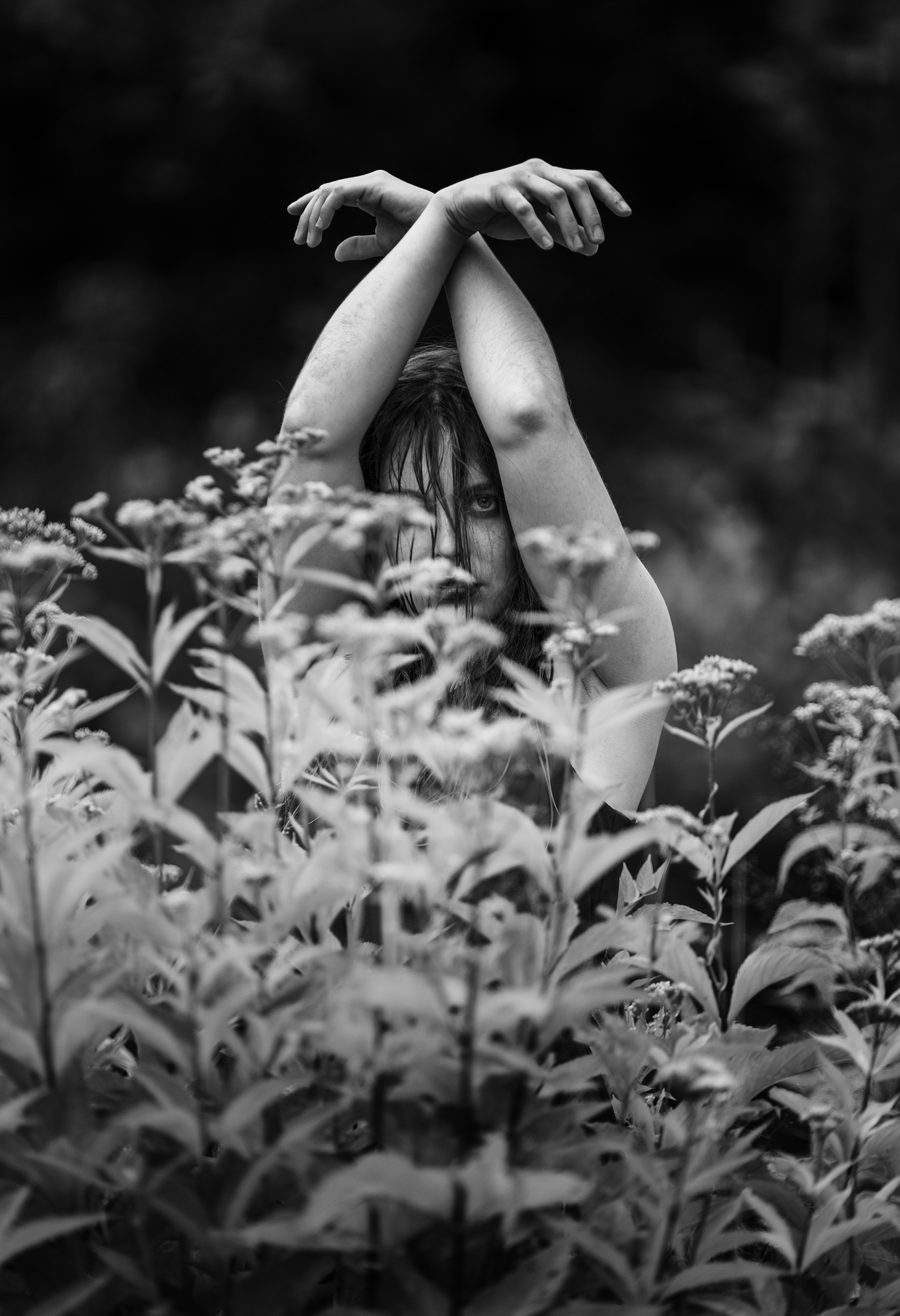 1fe6c5101585831.5f220adb70eb2.png