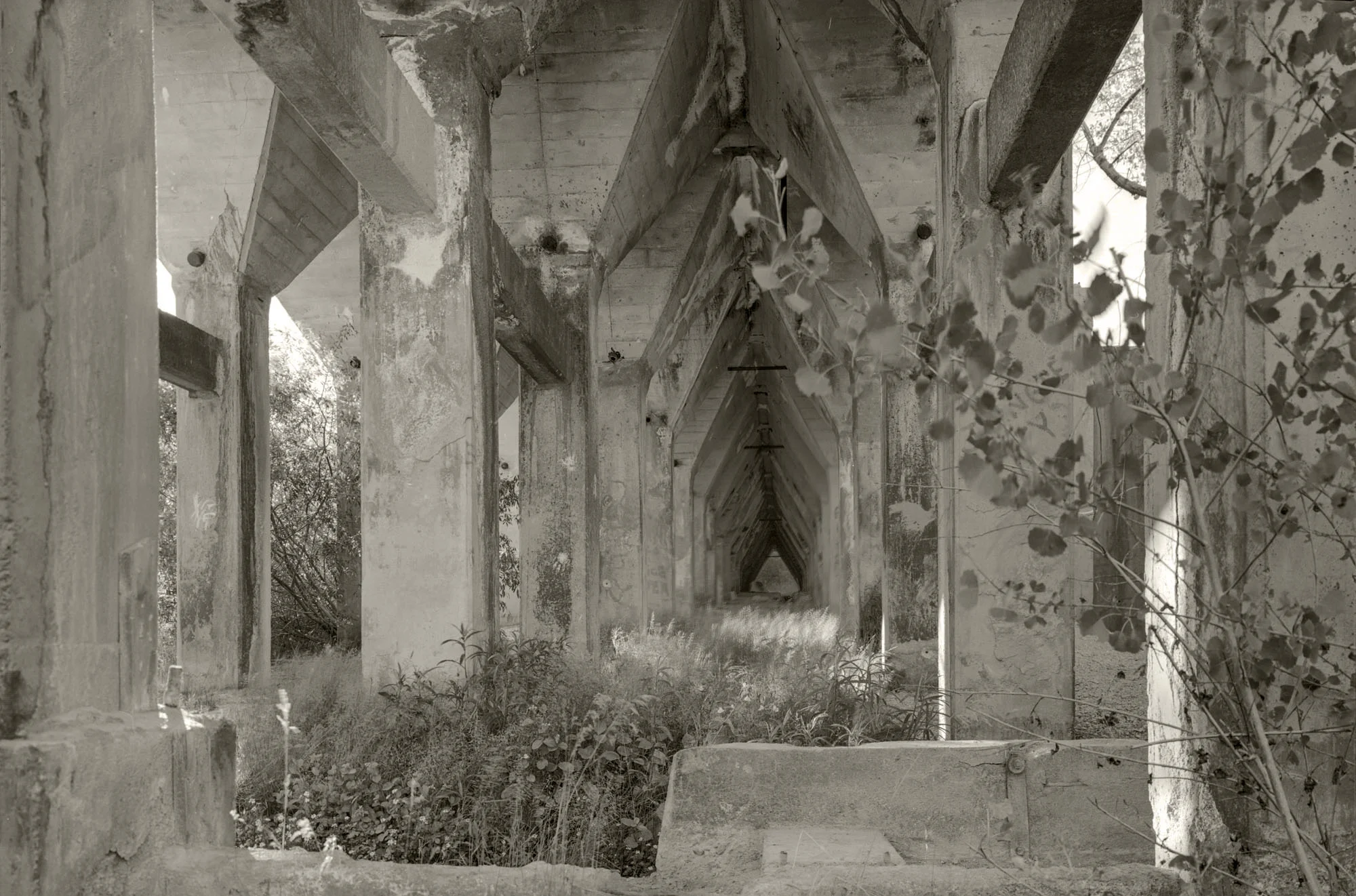 Hoppers, American Flat Mill Ruins, Nevada, 1980