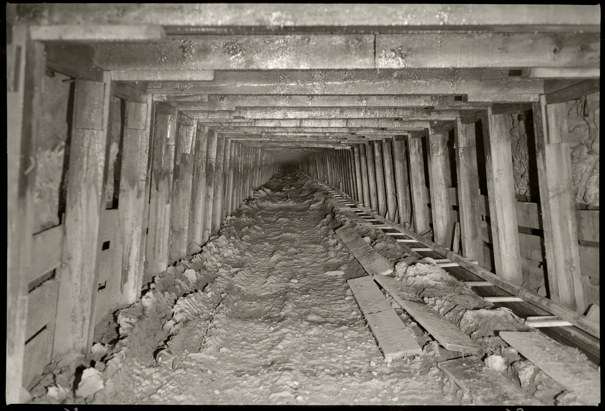 Sutro Tunnel, 1980