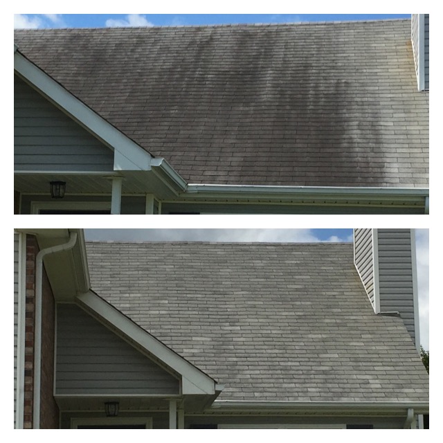 Roof Stains Removed