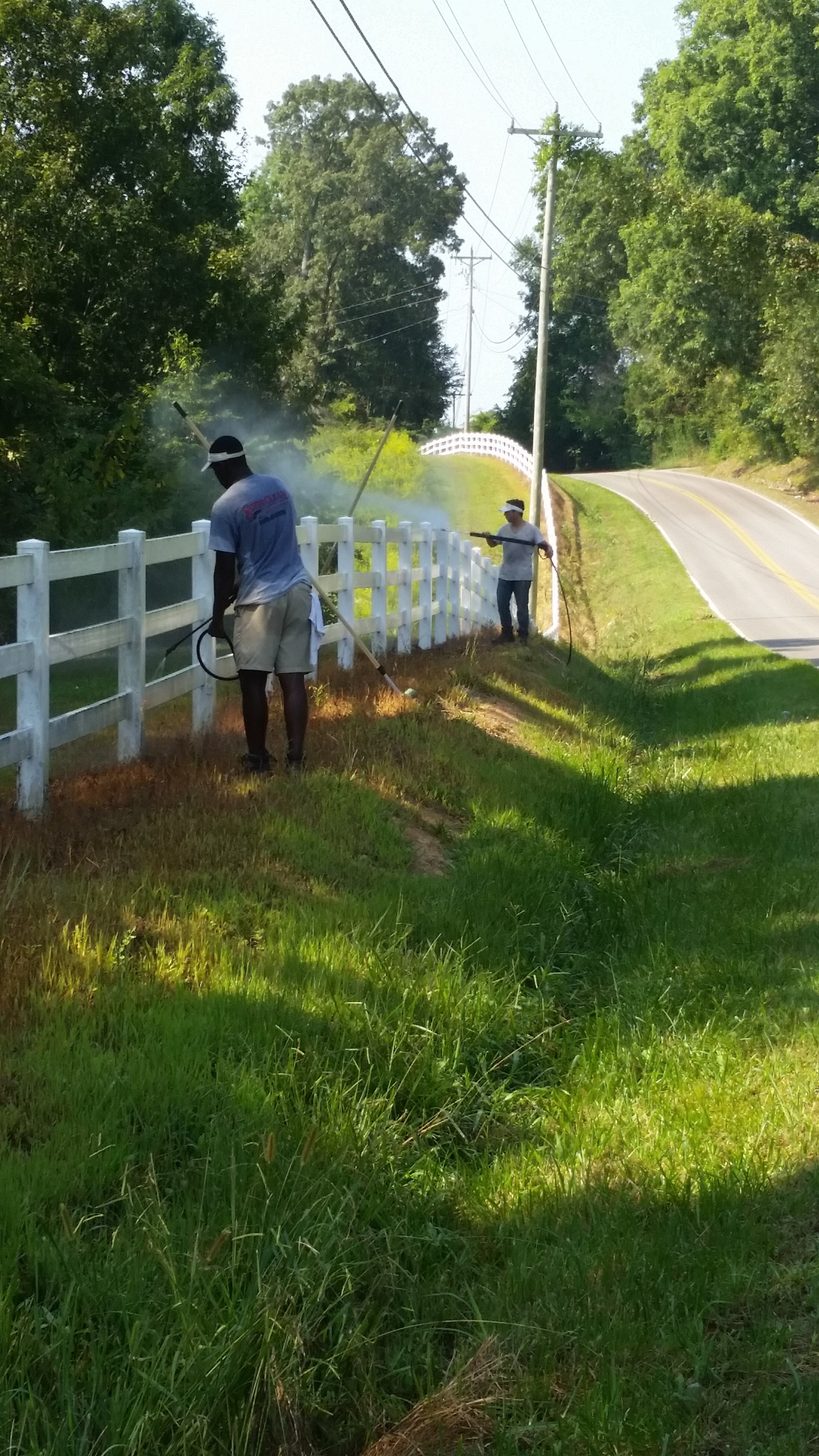 Fence Cleaning