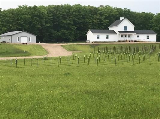Bandb — Perrone Vineyards And Farmhouse Stay