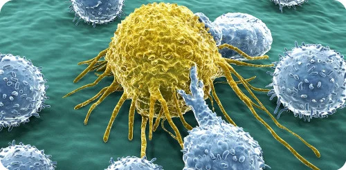 Första immunterapin!