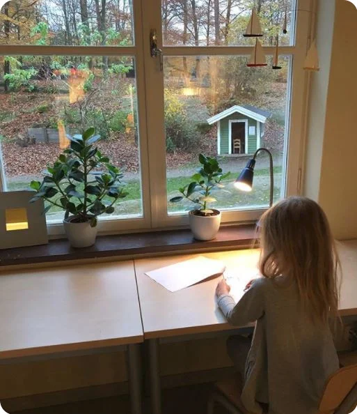 skola1_bhni8e.jpg