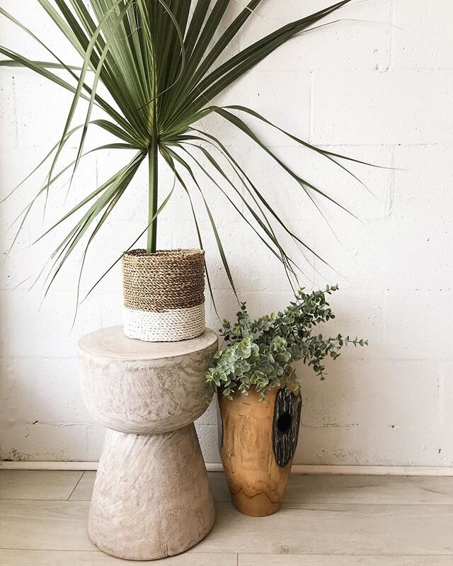 sweet home accessories 🌴🌿 Open this week Thursday and Friday 10-4pm &amp; Saturday 10-3pm