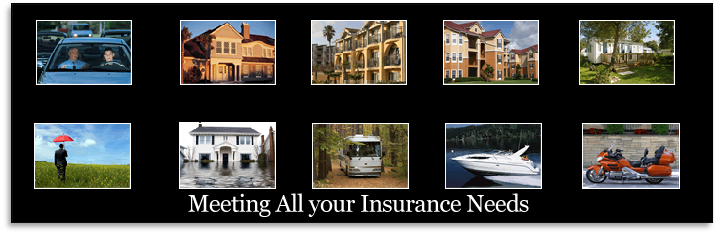 Personal Insurance Products.png