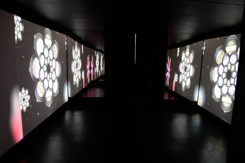 espaço (7).jpg