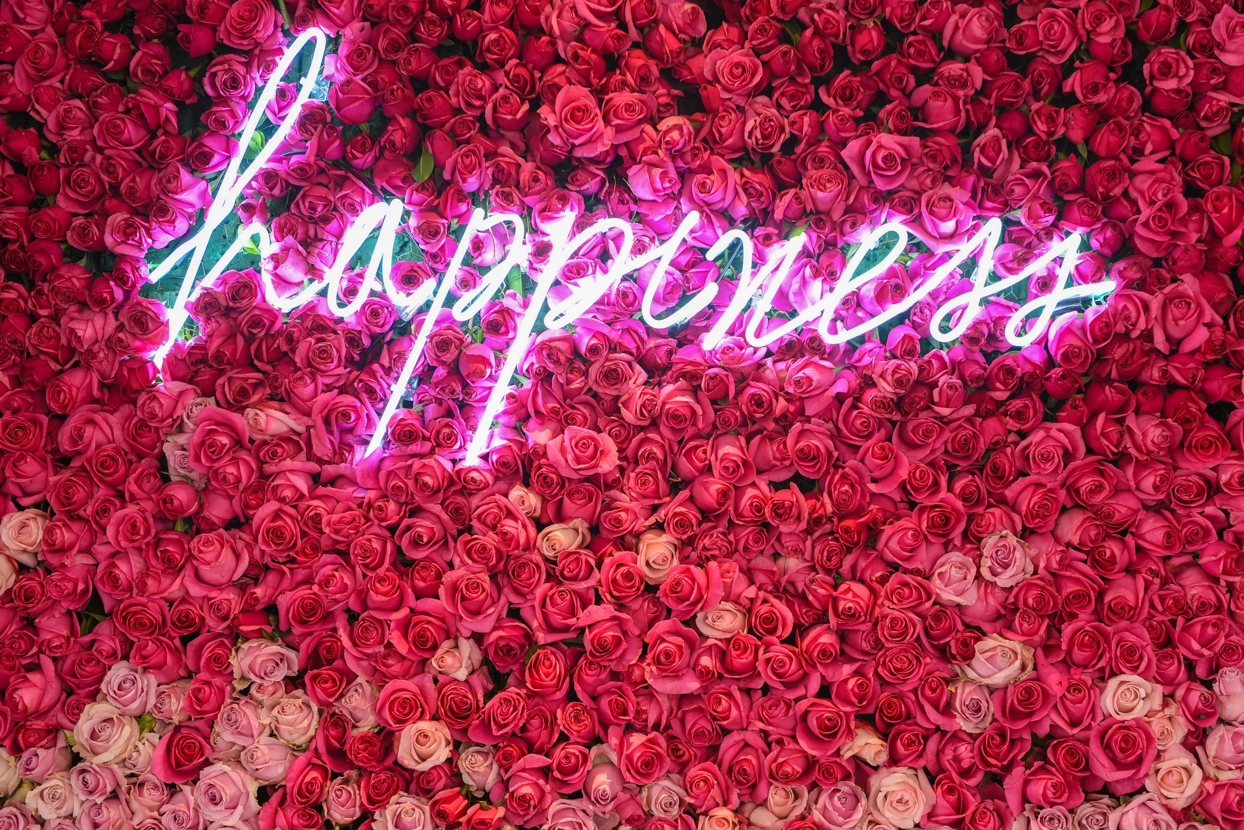 happiness.jpg