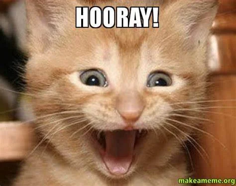 hooray cat!.jpg