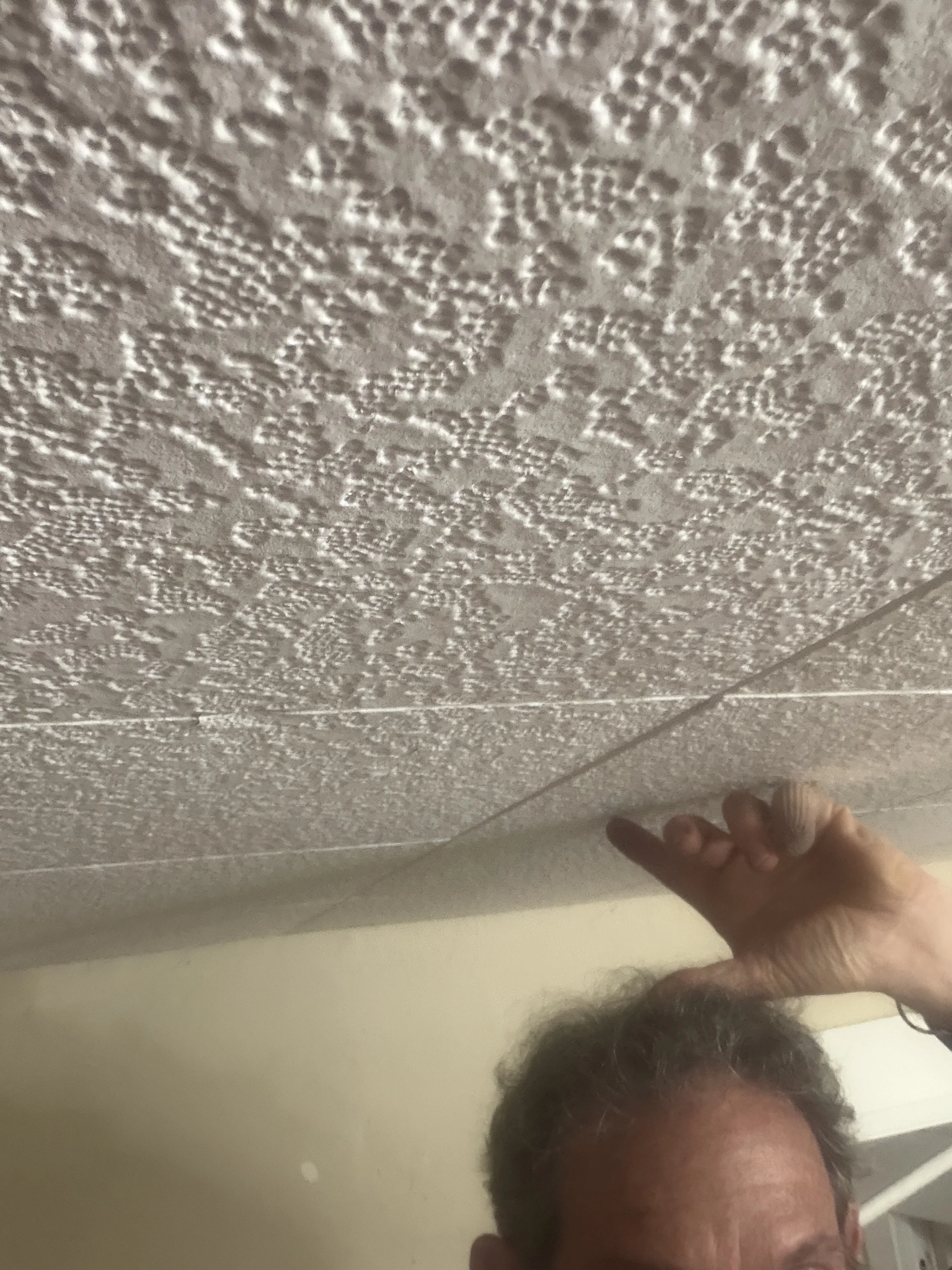 IMG_3077.jpeg