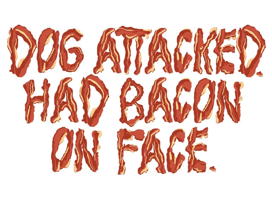 Dog attacked. Had bacon on face. / 011910