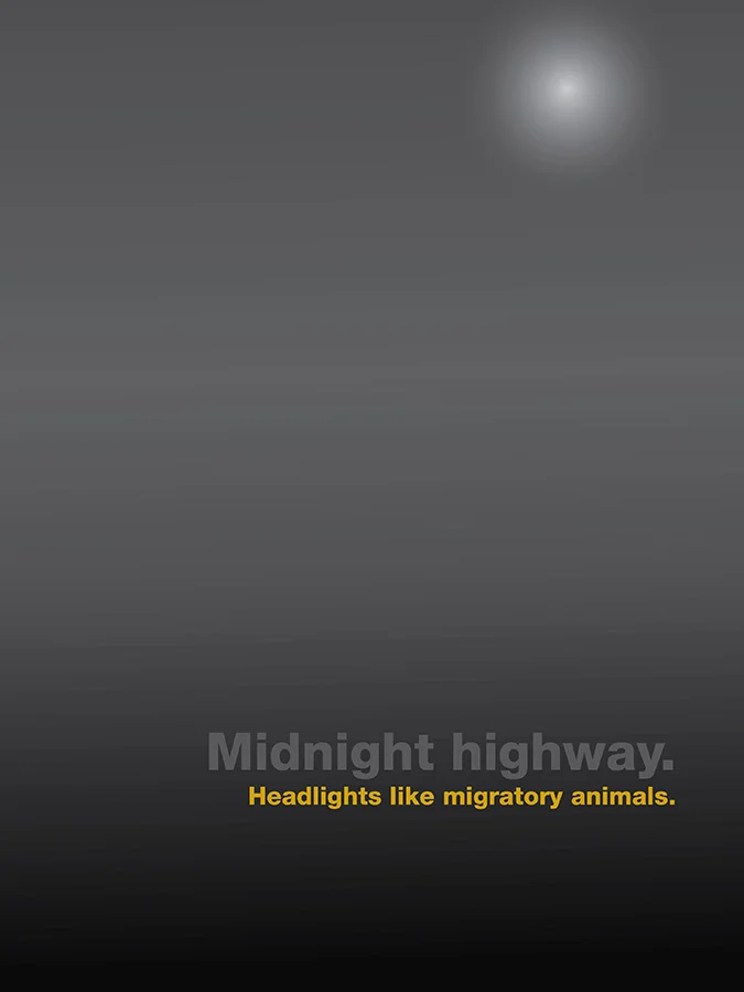 Midnight highway. Headlights like migratory animals. / 012710