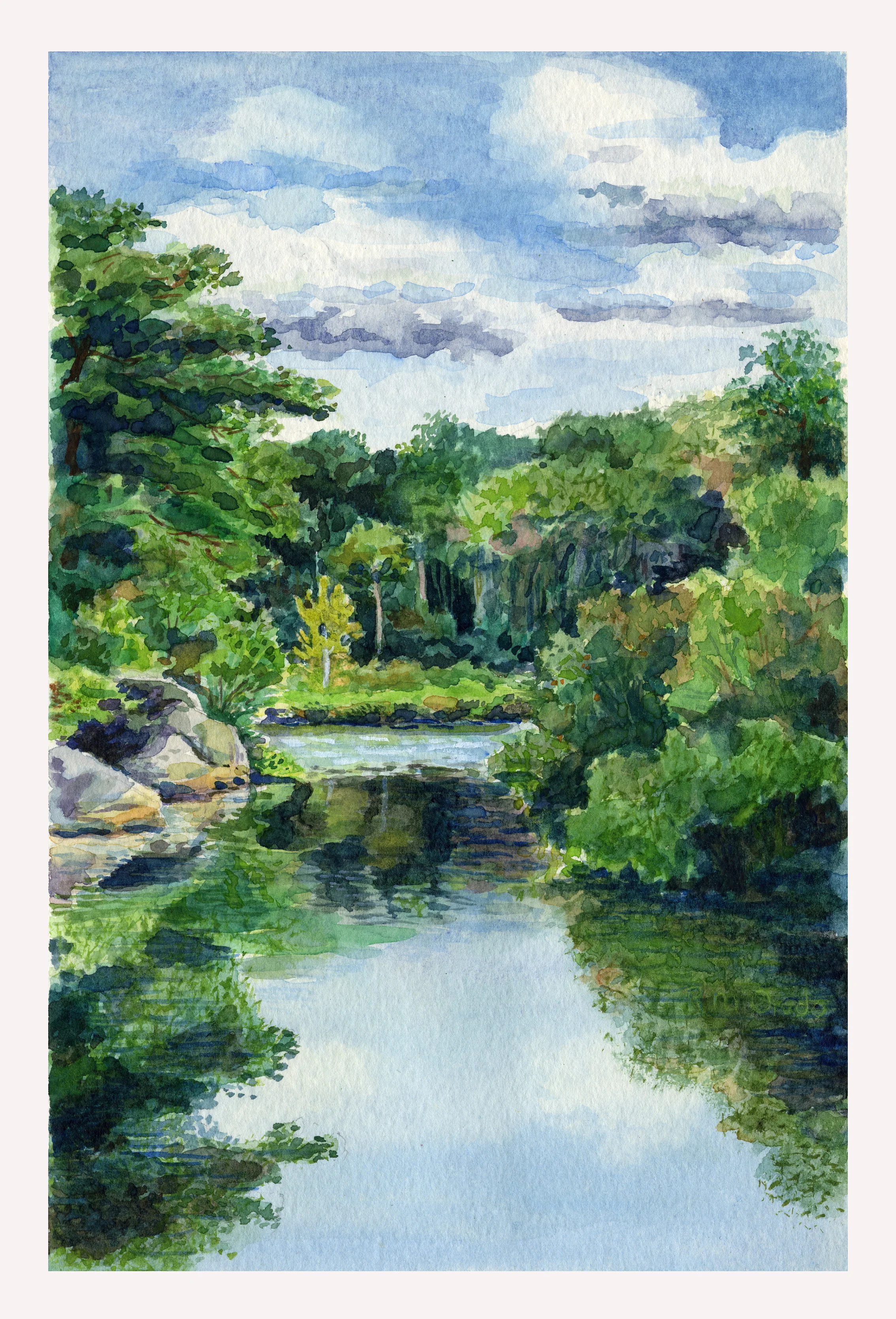 pond.jpg