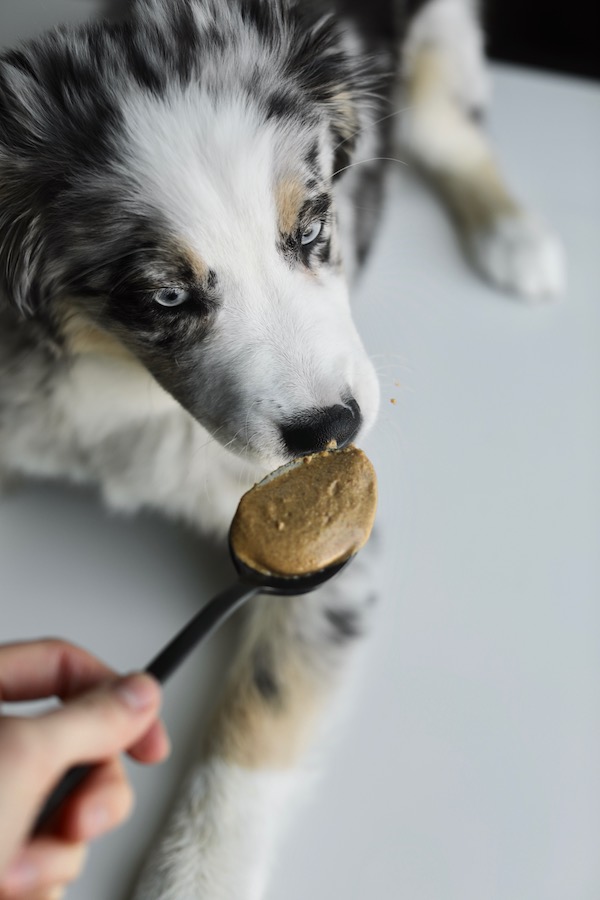 A Nutritionist's Take on Peanut Butter
