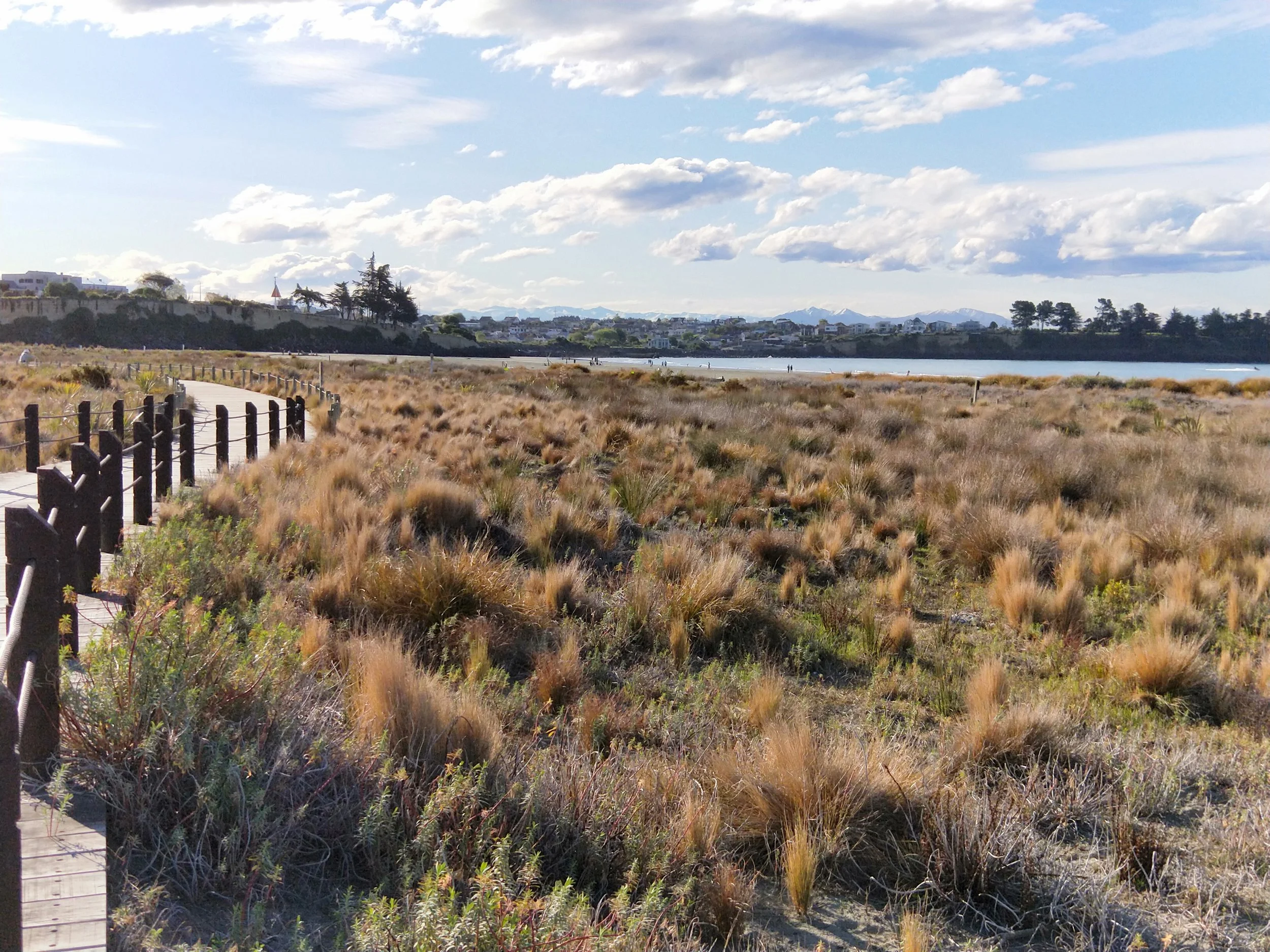 boardwalk landscape.jpg