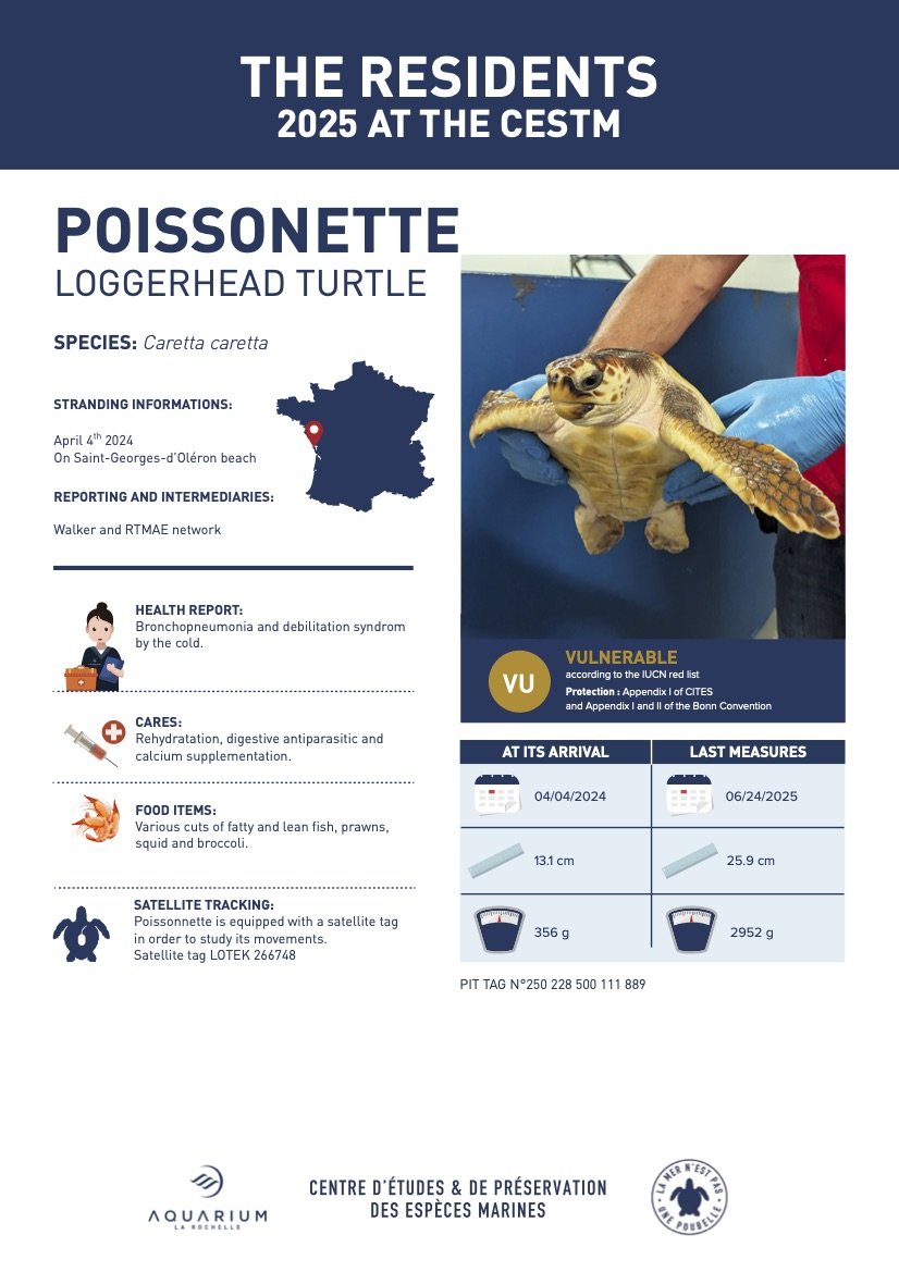 Retour à l'Océan 2025 V2 ENG5.jpg