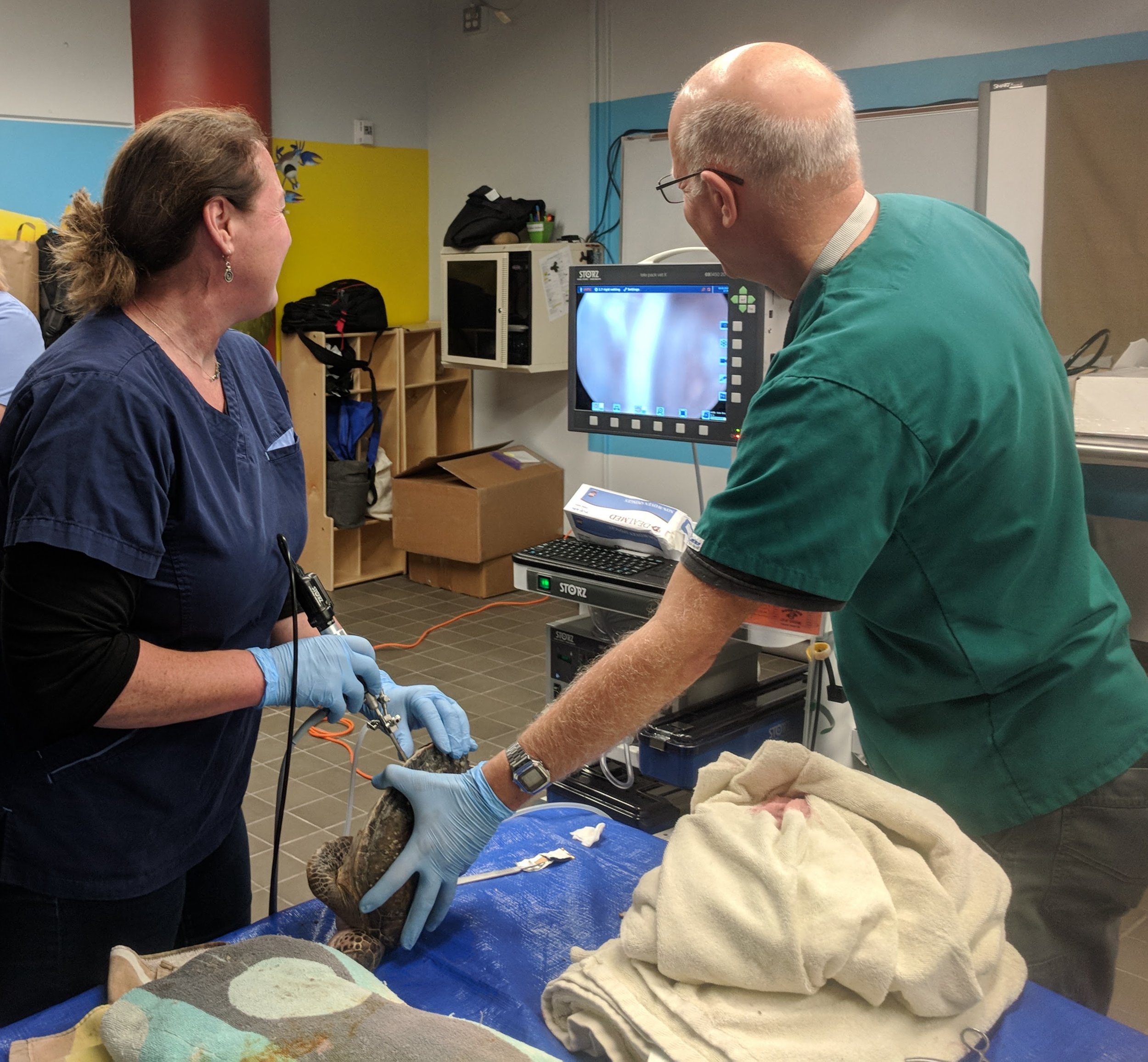  Laparoscopy with Dr. Craig Harms and Dr. Heather Harris 