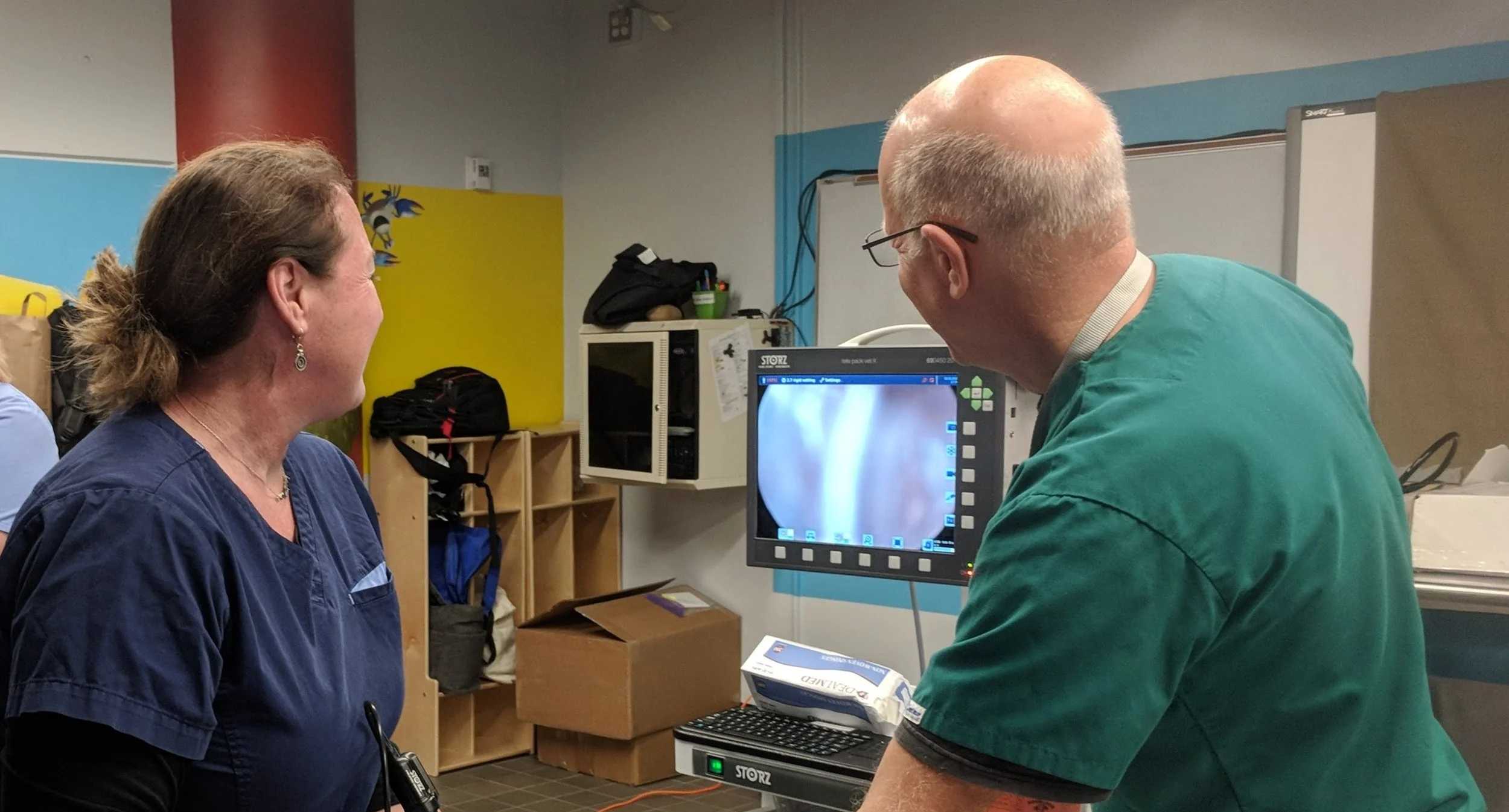 Veterinarians apply diagnostic imaging tools for sea turtle conservation!