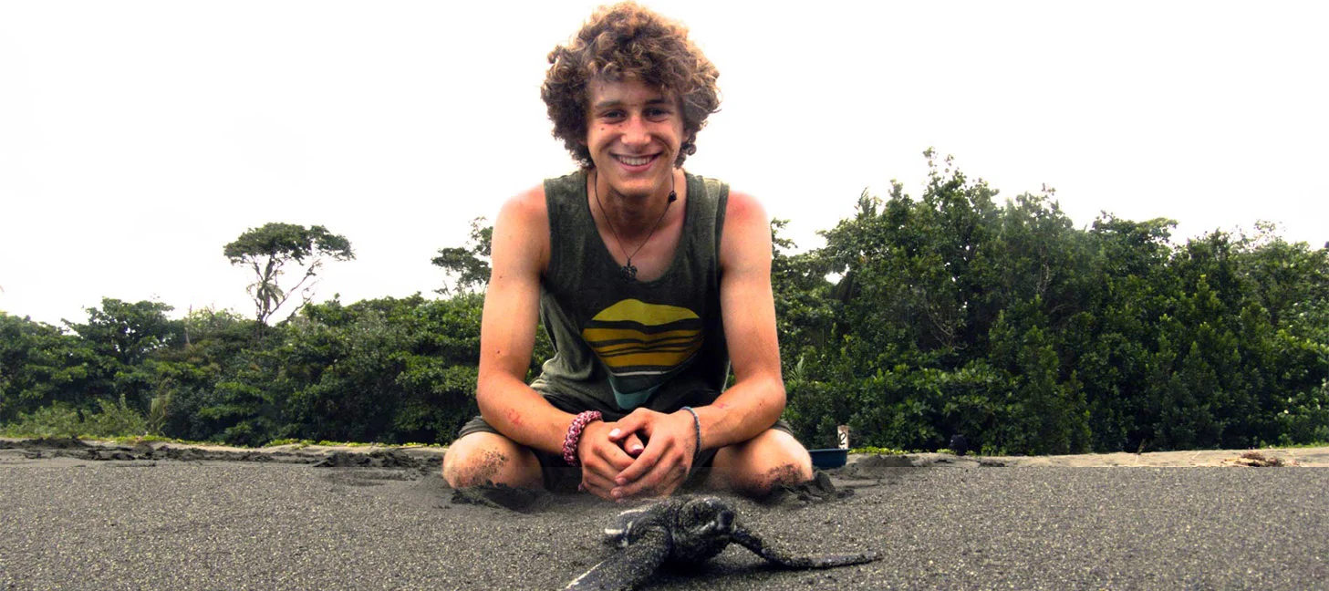 Nausea and curiosity: An account of real sea turtle fieldwork