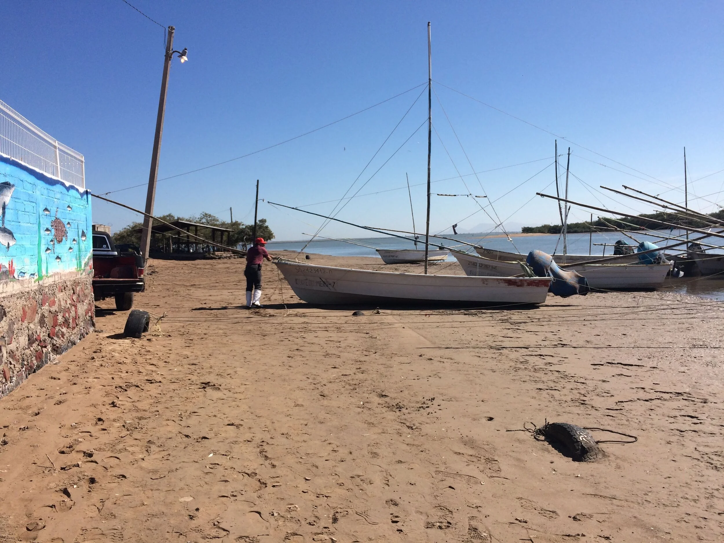 Building strong relationships with fishers in Sinaloa to promote responsible fishing