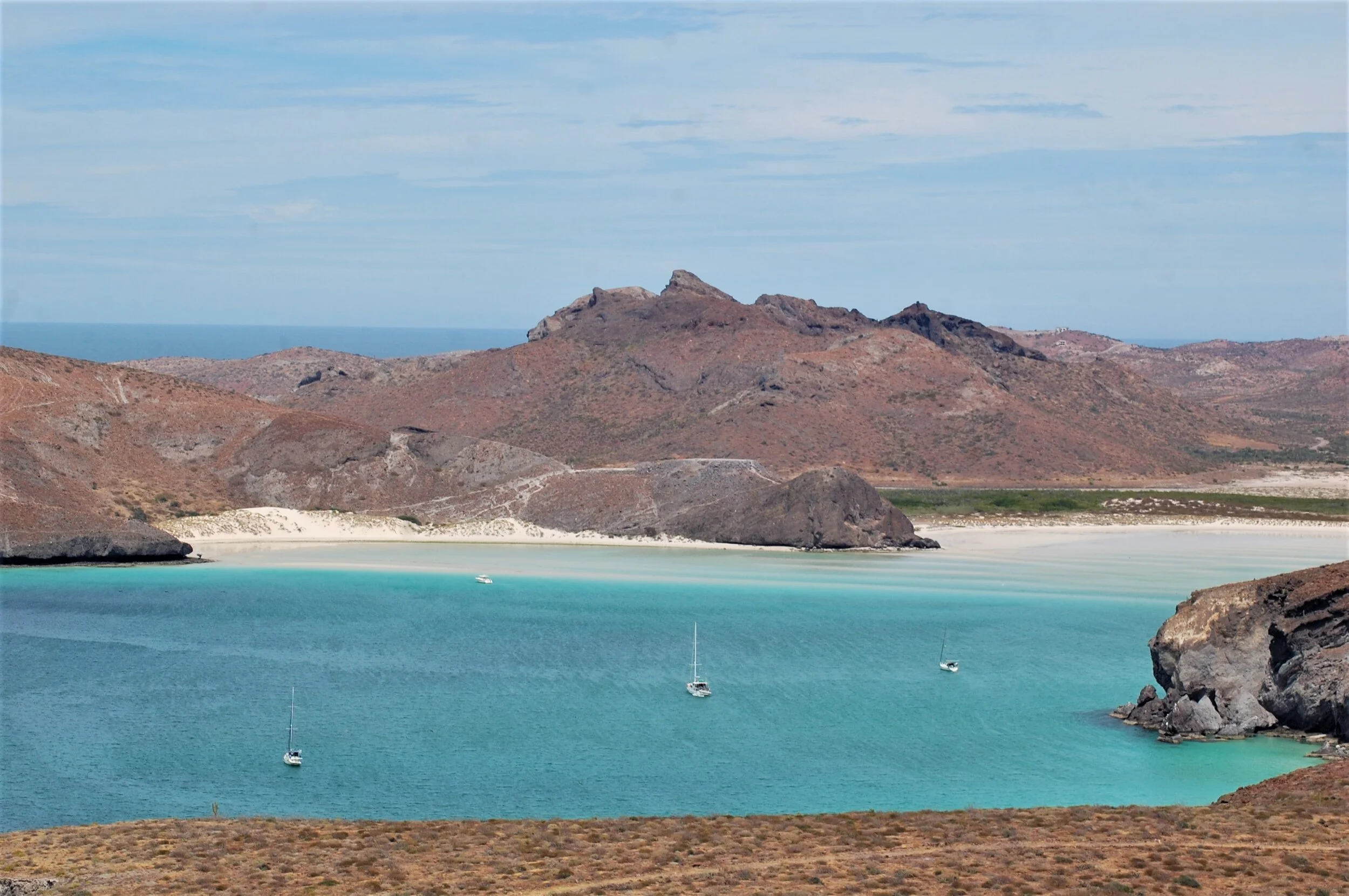 A bird's eye view on sea turtles in La Paz Bay