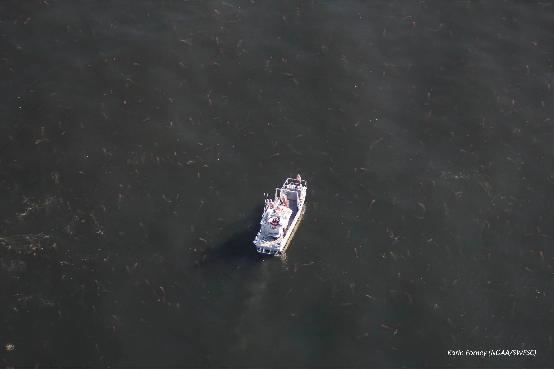 A Brief History of the Sheila B. Research Vessel