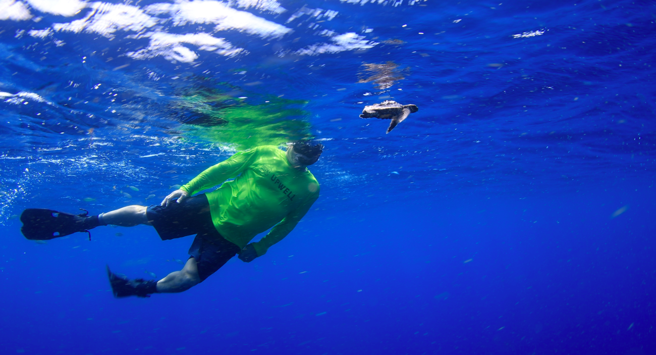 Screen Shot 2023-03-30 at 11.04.28 AM.png