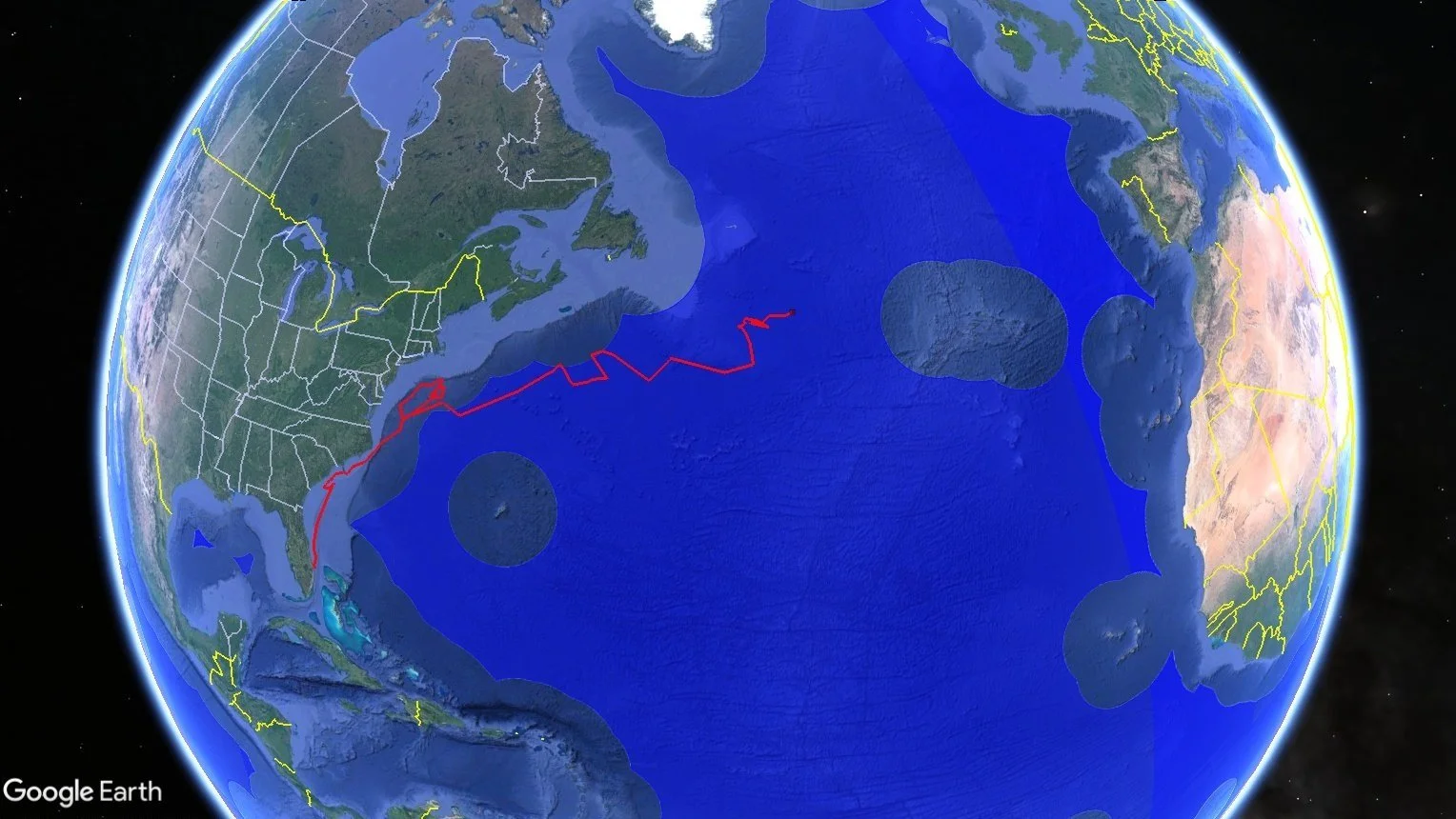 Why the High Seas Treaty Is Important to Sea Turtles