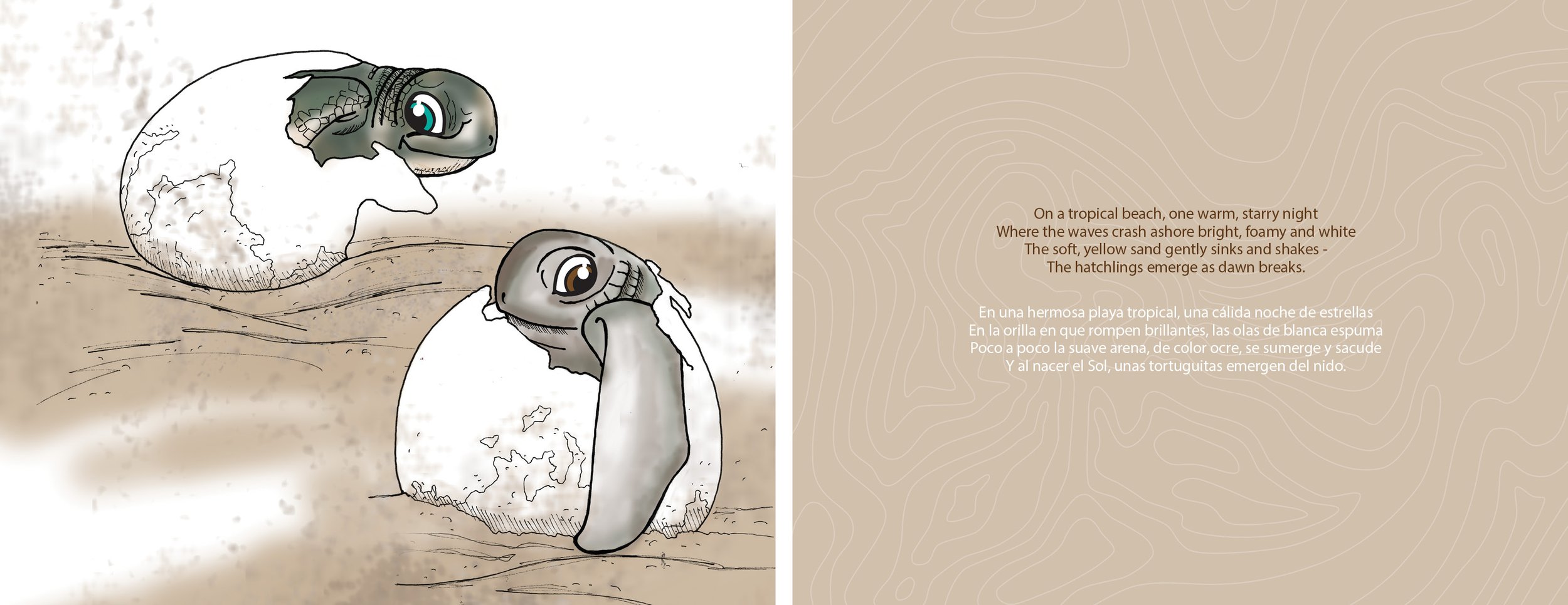 Grande Turtle Adventure PAGES 5_6.jpg
