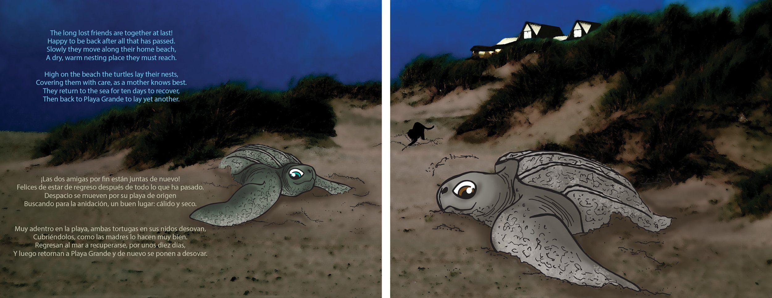 Grande Turtle Adventure PAGES 25_26.jpg