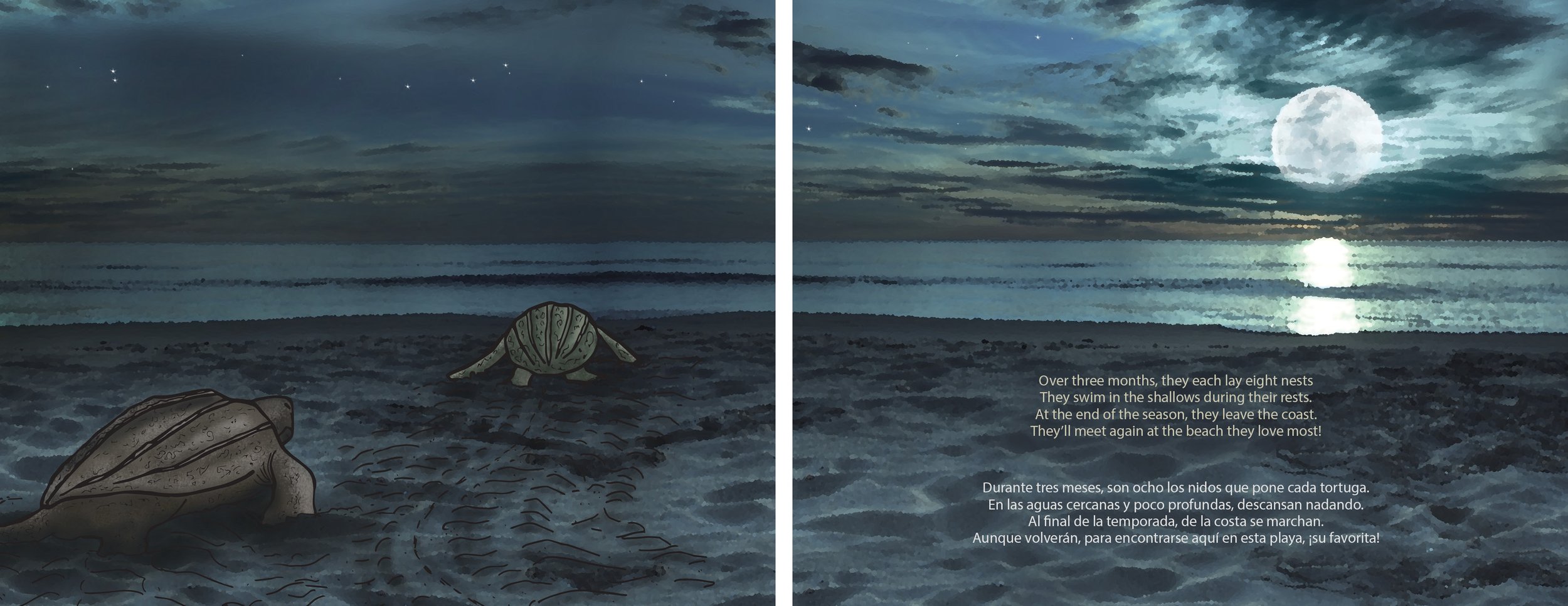 Grande Turtle Adventure PAGES 27_28.jpg