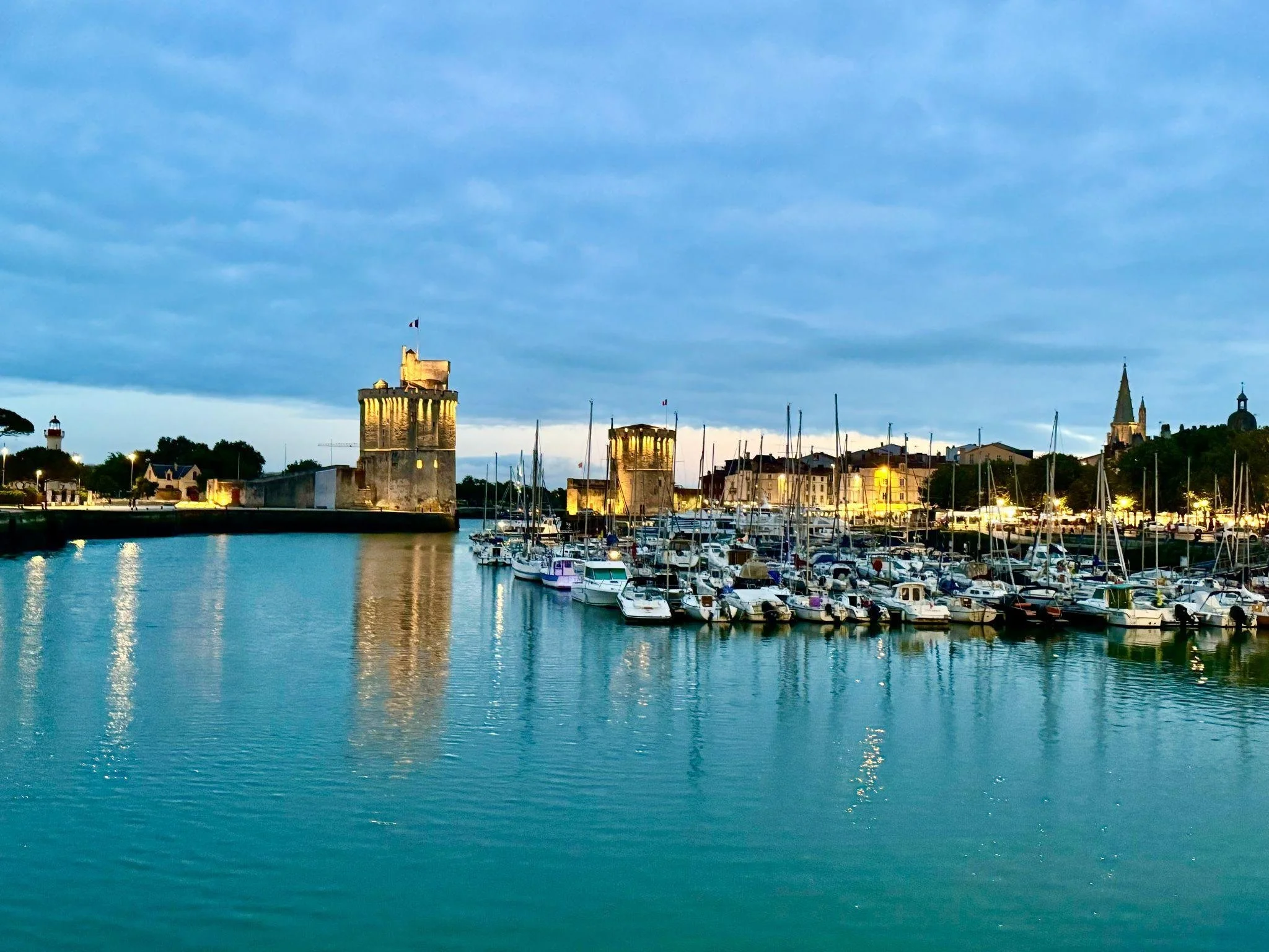 Tagging Juvenile Loggerheads in the Bay of Biscay