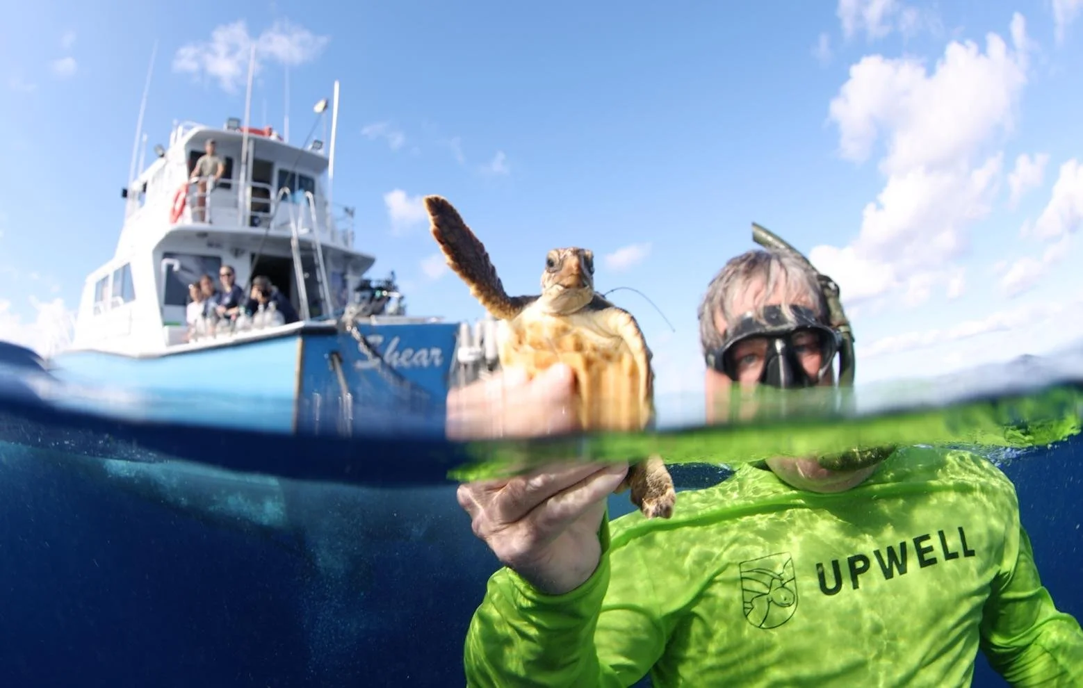 65 juvenile loggerheads