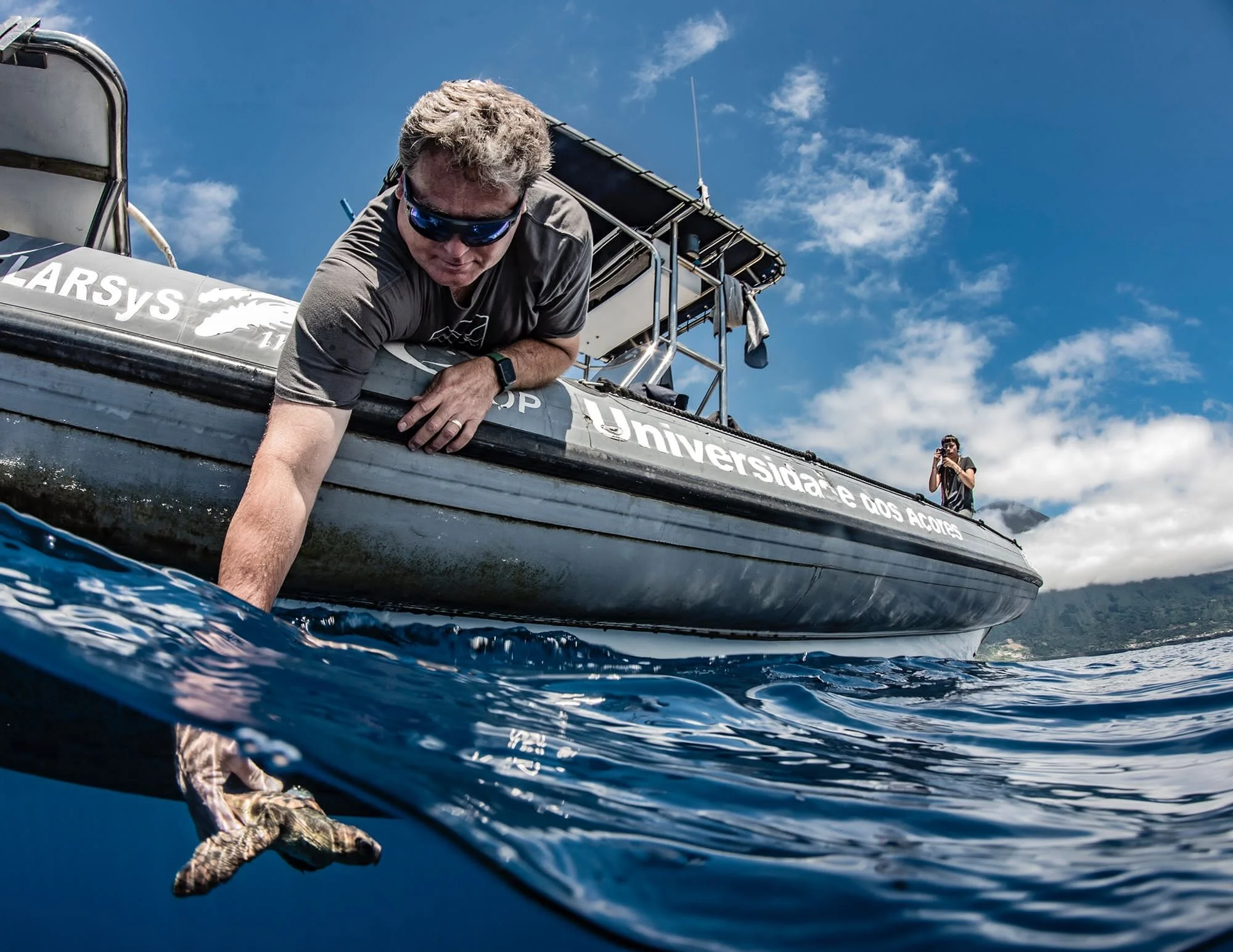   37 juvenile loggerheads  