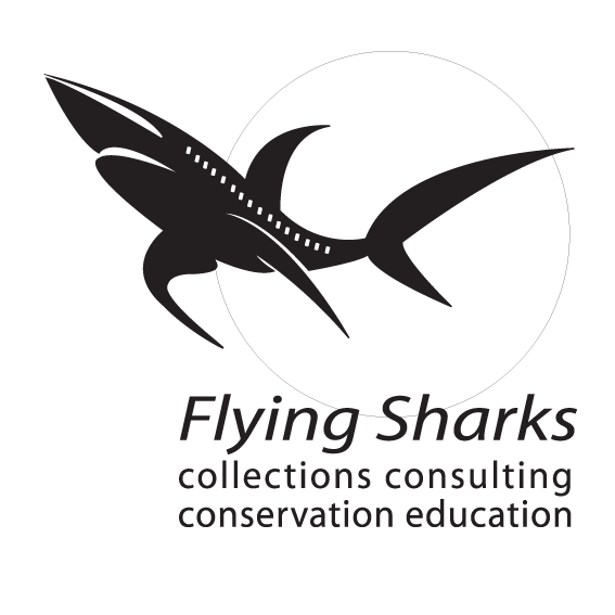  Flying Sharks in the Azores… 